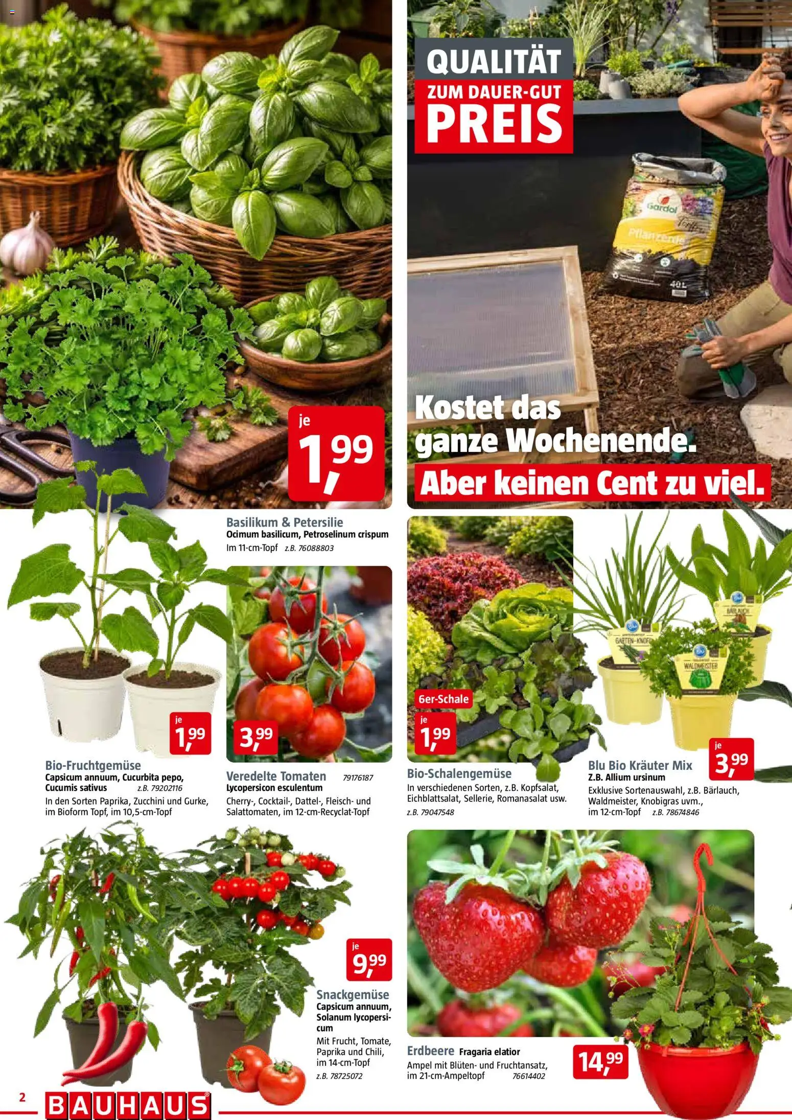 Bauhaus Prospekt 	 – gültig ab 02.05.2026 | Seite: 2 | Produkte: Paprika, Petersilie, Zucchini, Fleisch