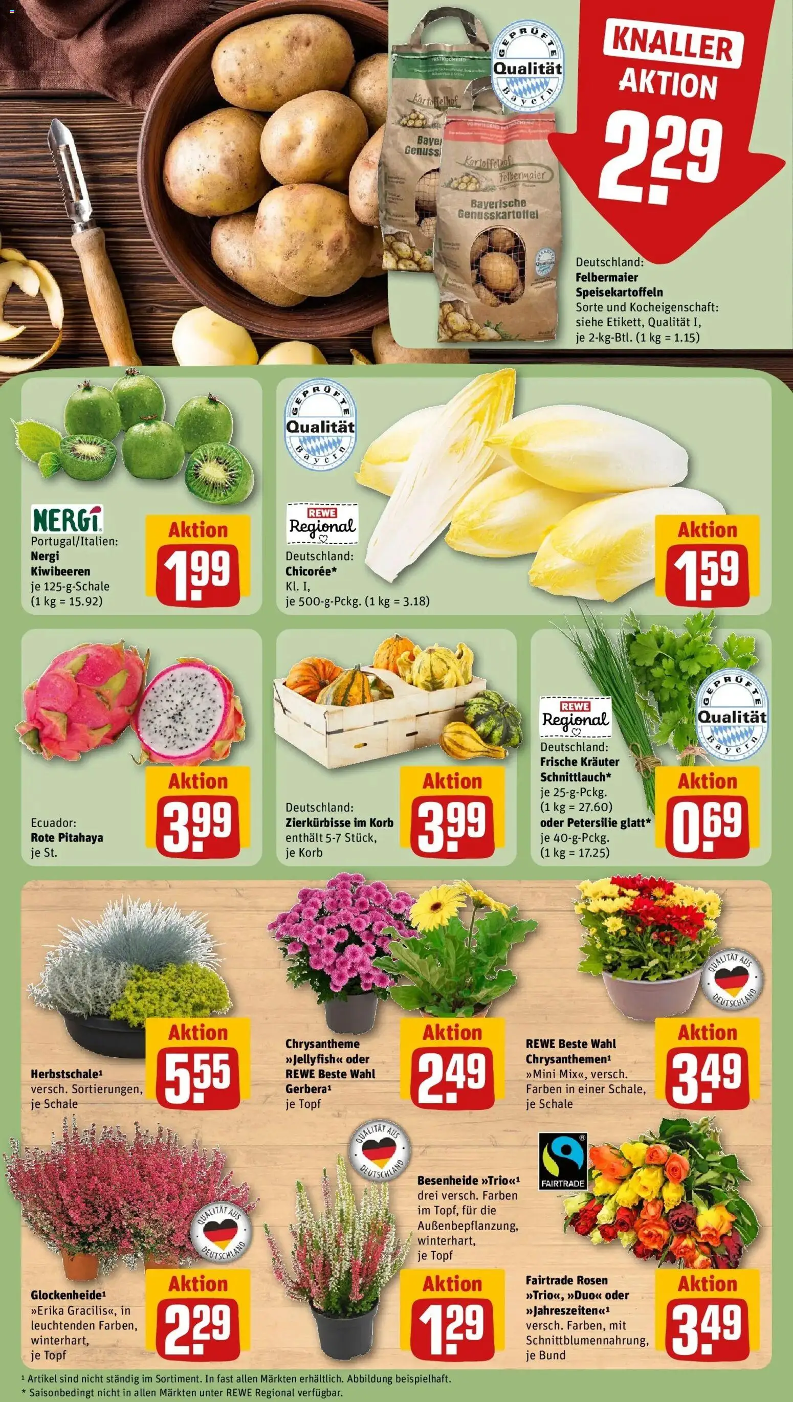 REWE Prospekt ab 21.09.2026 zum Blättern » Angebote | Seite: 13 | Produkte: Korb, Petersilie