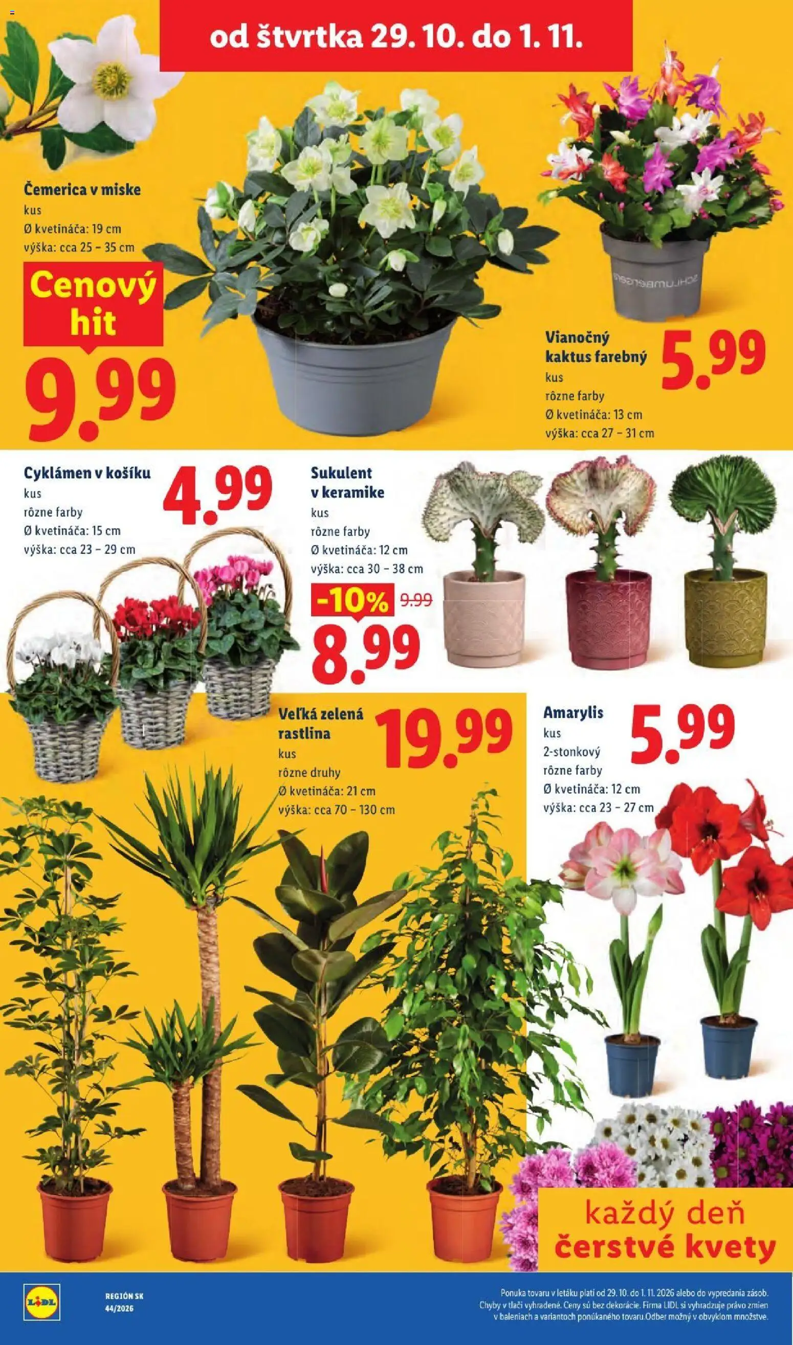 Nové Lidl akcie – leták je platný od 26.10.2026 | Strana: 101