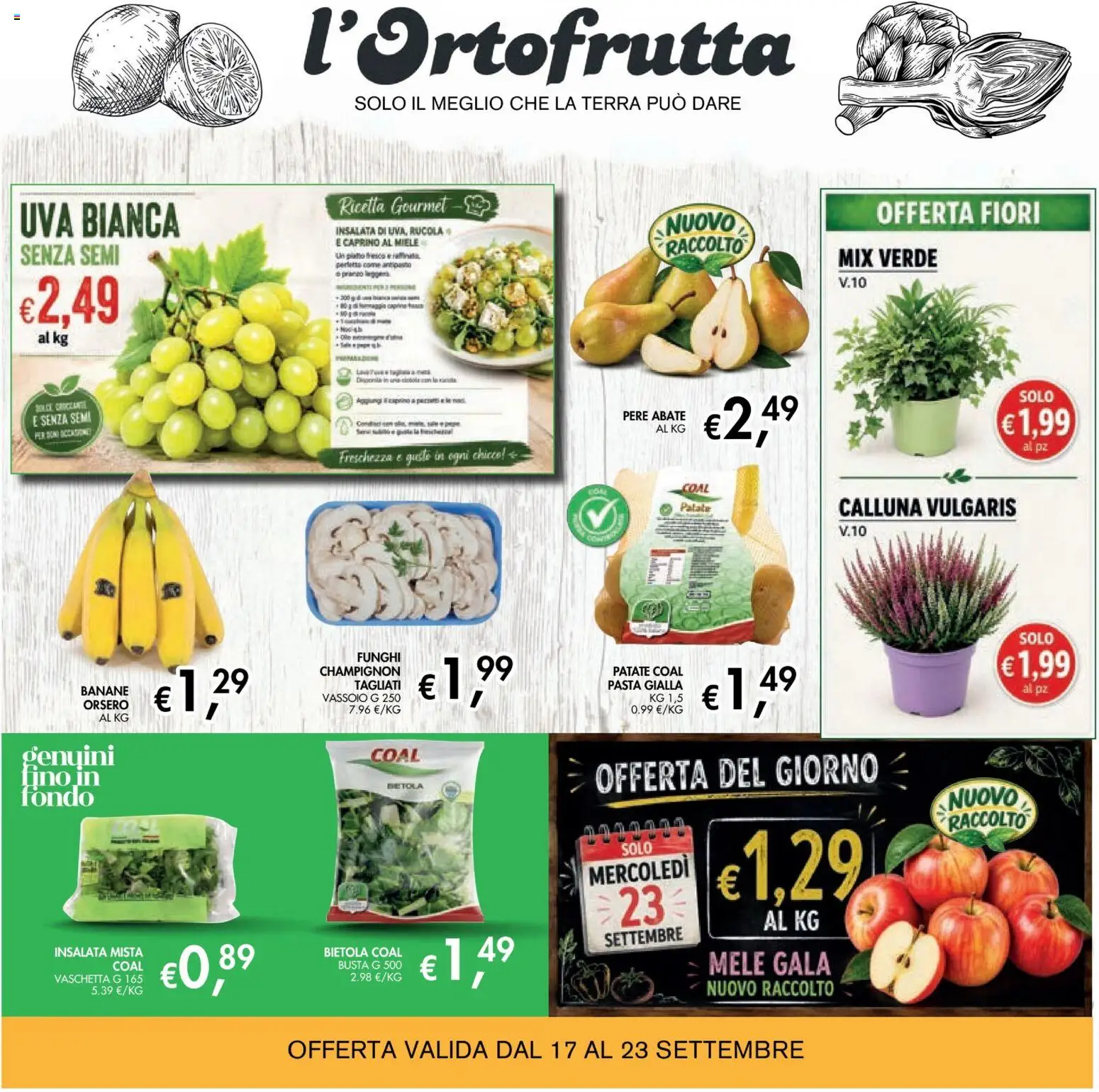 Volantino Coal del 10/09/2026 | Pagina: 7 | Prodotti: Rucola, Pere, Insalata, Terra