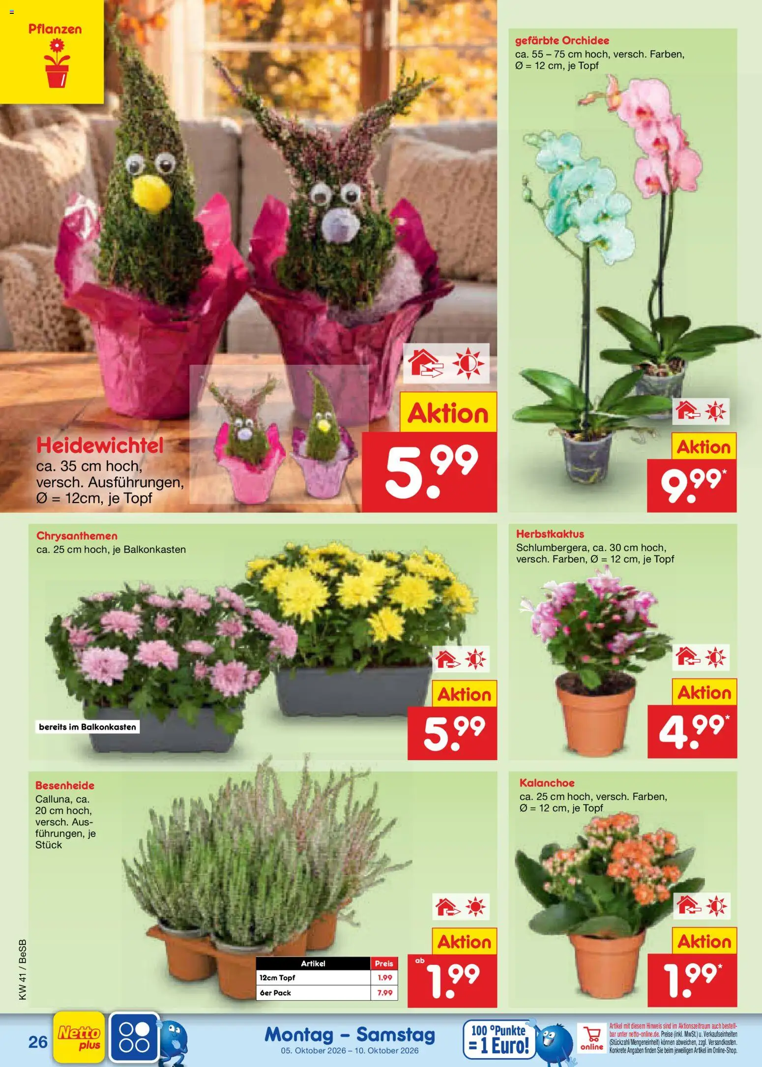 Netto Marken-Discount Prospekt – gültig ab 05.10.2026 | Seite: 30 | Produkte: Orchidee