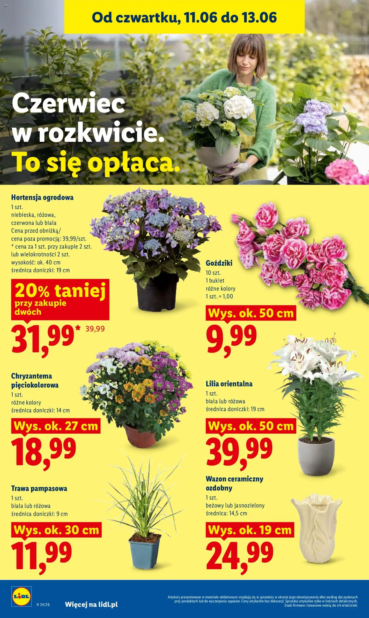 Lidl Polsko leták od 11.06.2026 | Strana: 92