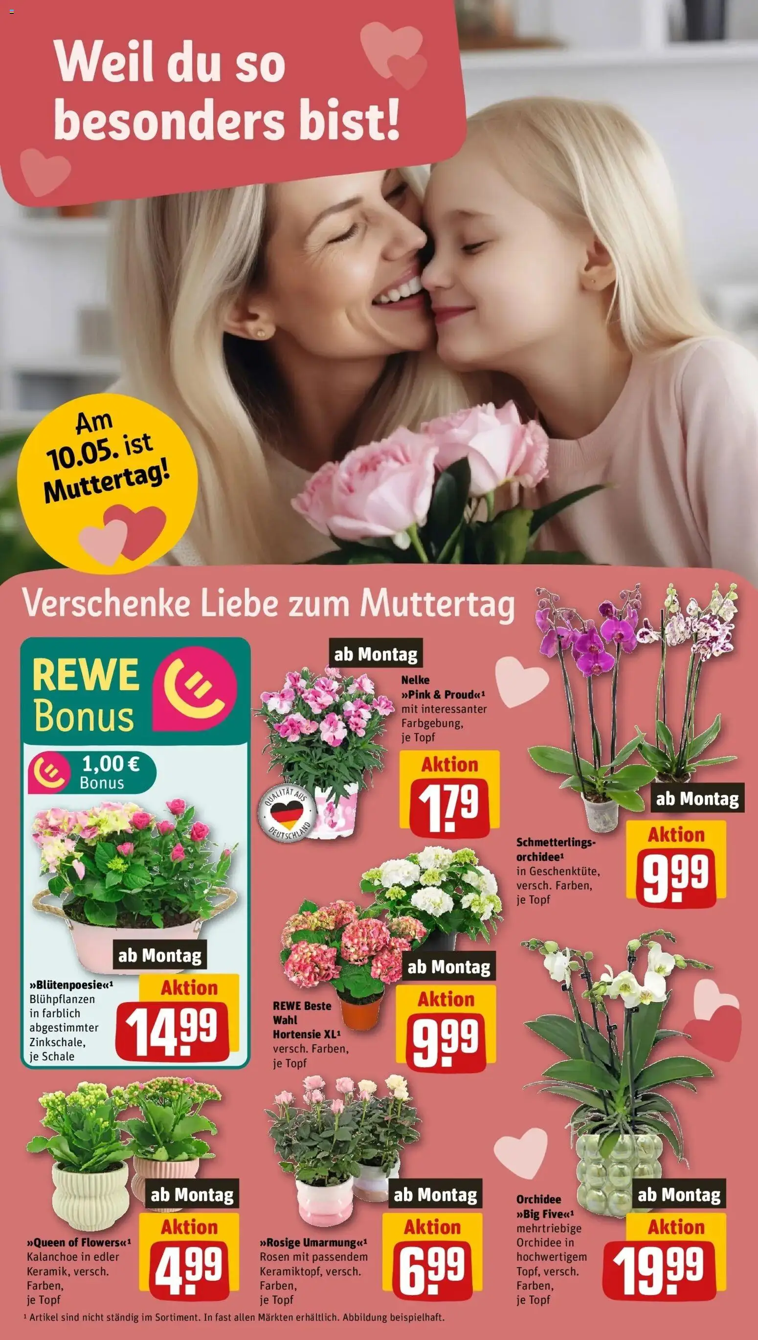 REWE Prospekt ab 04.05.2026 zum Blättern » Angebote | Seite: 20 | Produkte: Hortensie, Orchidee
