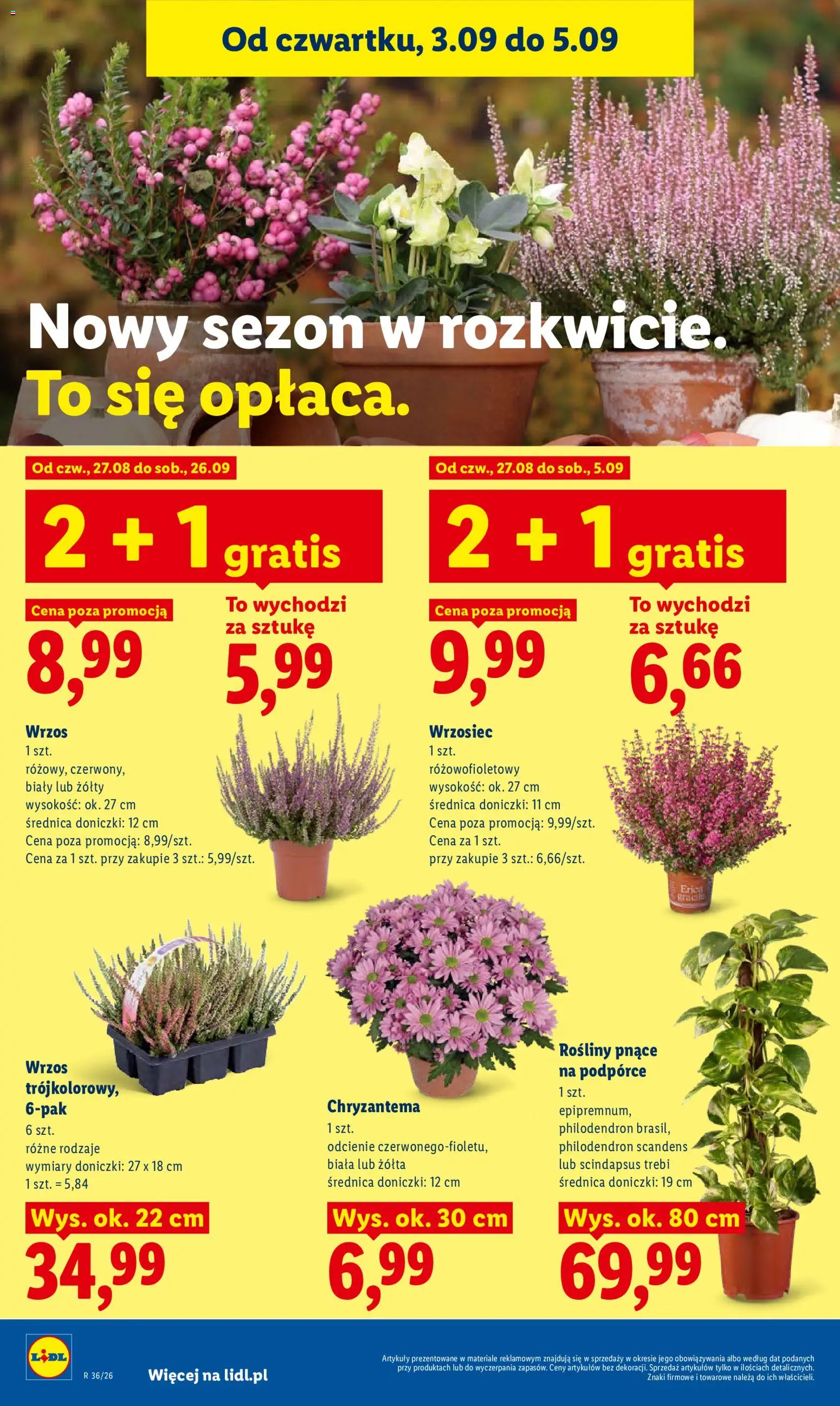 Lidl gazetka od 03.09.2026 | Strona: 90
