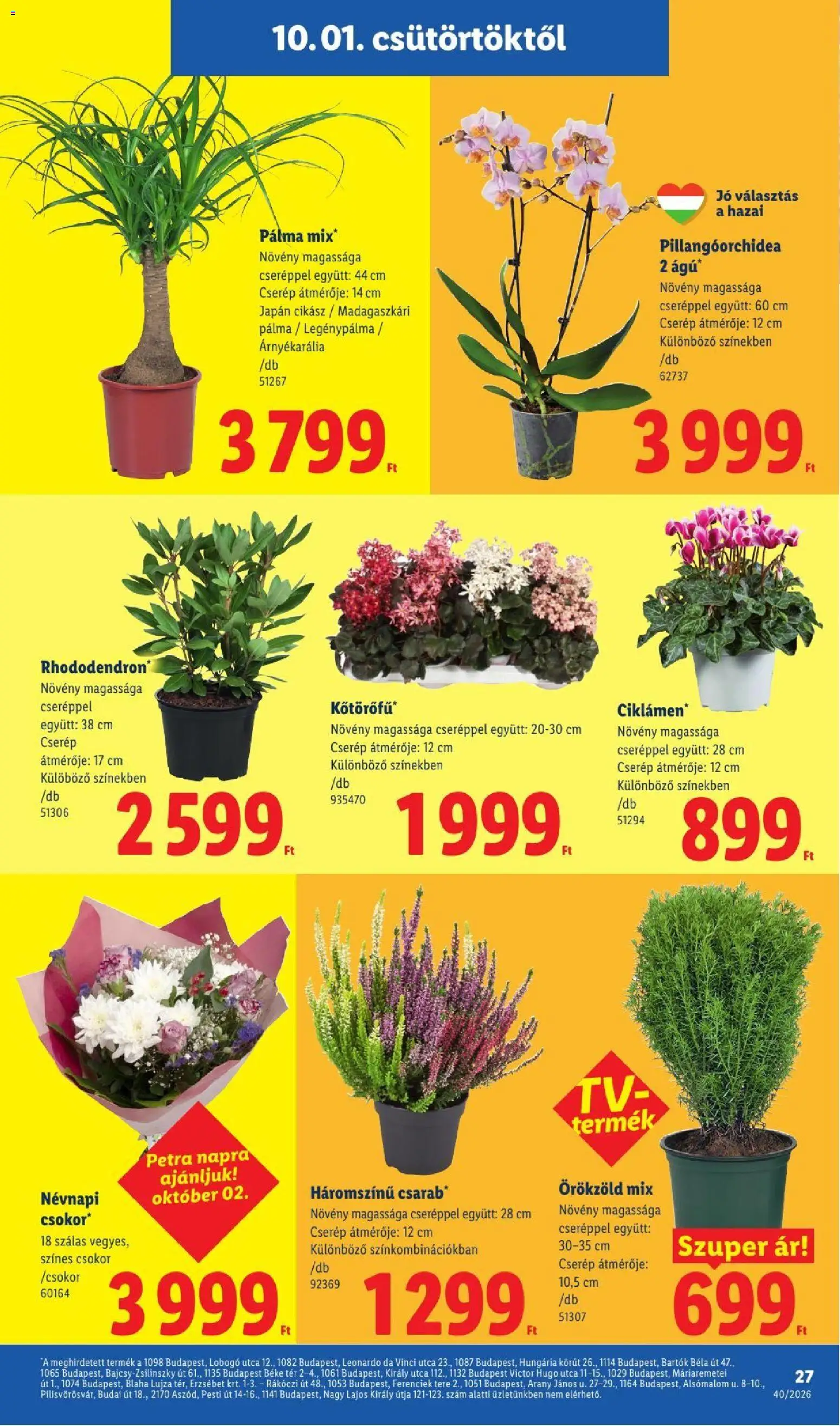 Lidl akciós ujság - amely érvényes a következő dátumtól: 2026.10.01. | Oldal: 27
