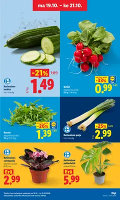 Lidl-mainoslehti voimassa 19/10/2026 alkaen | Sivu: 3