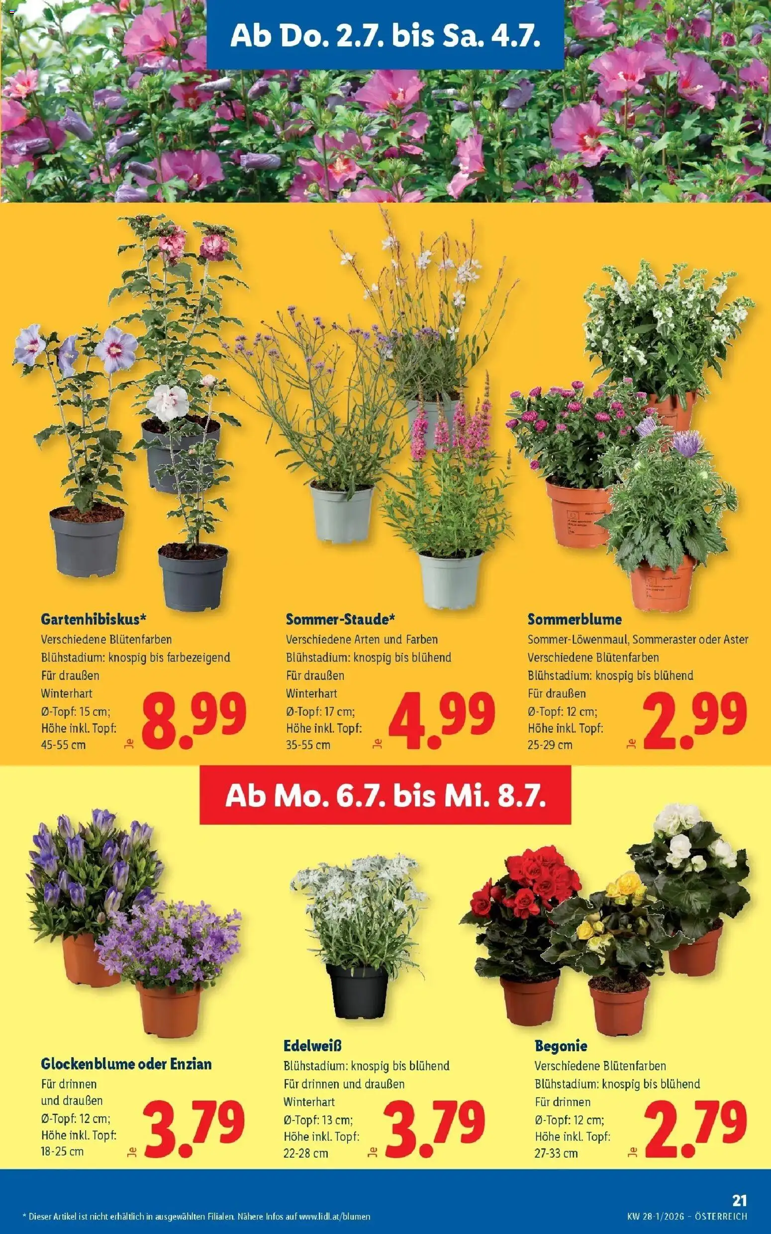 Lidl Flugblatt - Fohnsdorf, Neunkirchen, Graz gültig ab 02.07.2026 | Seite: 25