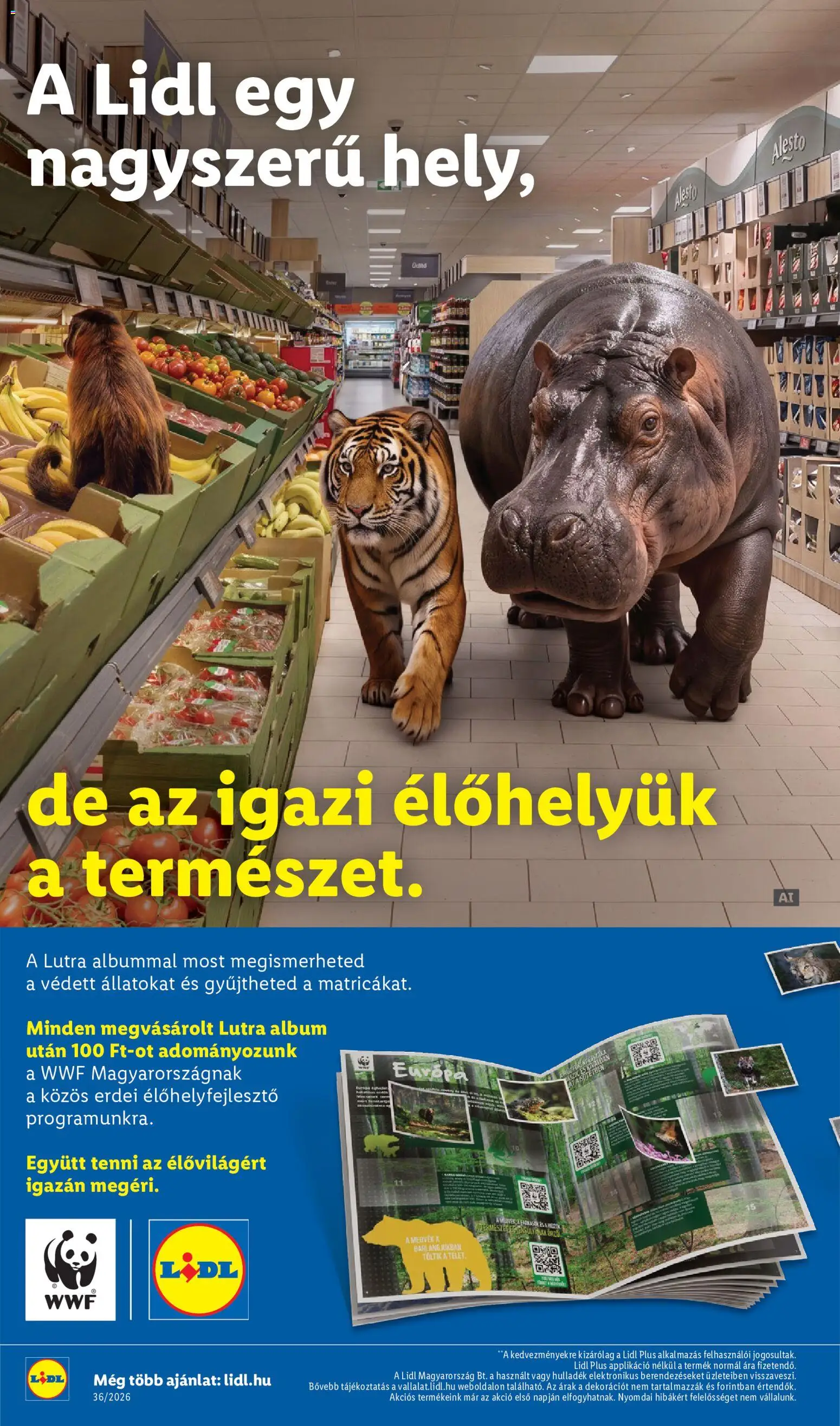 Lidl akciós ujság - amely érvényes a következő dátumtól: 2026.09.03. | Oldal: 18