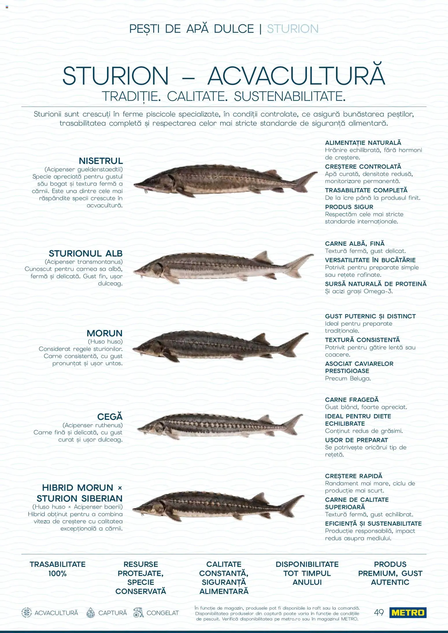 Noul catalog Metro – valabil de la 01.10.2026 | Pagină: 49 | Produse: Raft, Bucătărie, Tip, Apă