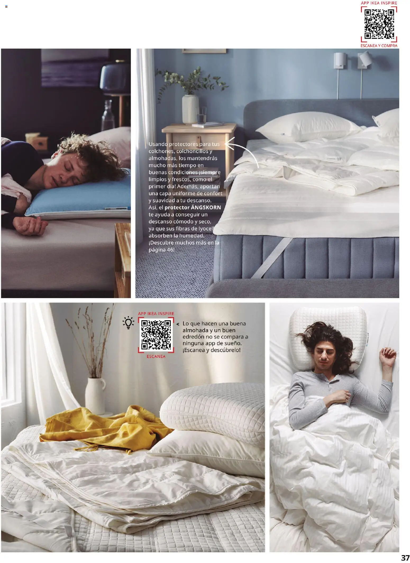 Catálogo IKEA Confort │ válido desde el 01.02.2026 | Página: 37 | Productos: Edredón, Té, Almohada