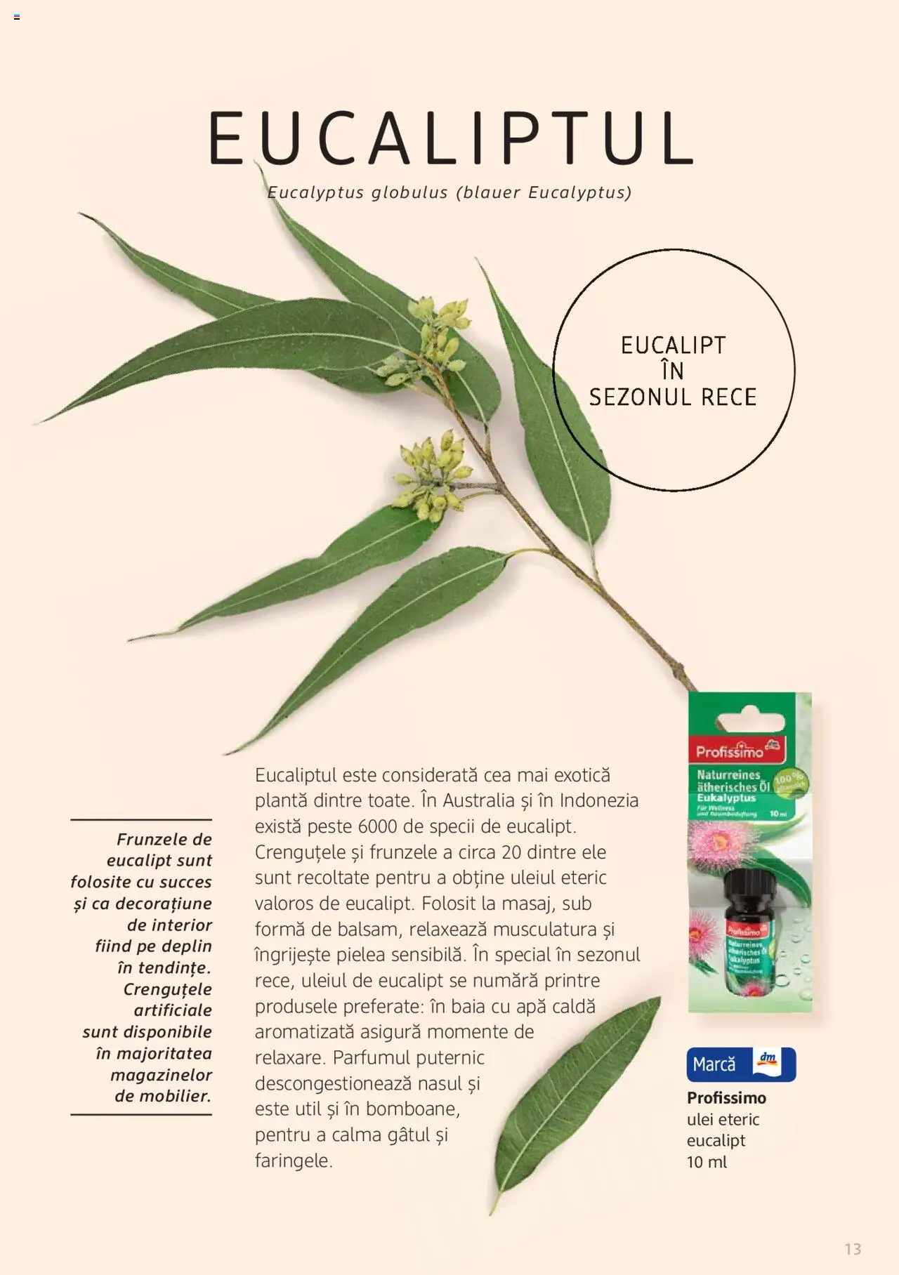 Noul catalog DM drogeriemarkt – valabil de la 01.01.2022 | Pagină: 13