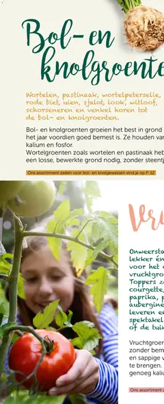 Aveve Groente- en kruidengids - Voorbeeld van een folder van Aveve, geldig van 23.02.2026 | Pagina: 10 | Producten: Bol, Antipasti, Wortelen, Courgette