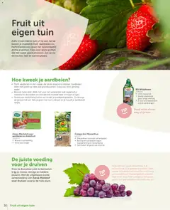 Aveve Tuingids  - Voorbeeld van een folder van Aveve, geldig van 23.02.2026 | Pagina: 30 | Producten: Aardbeien, Fruit, Druiven