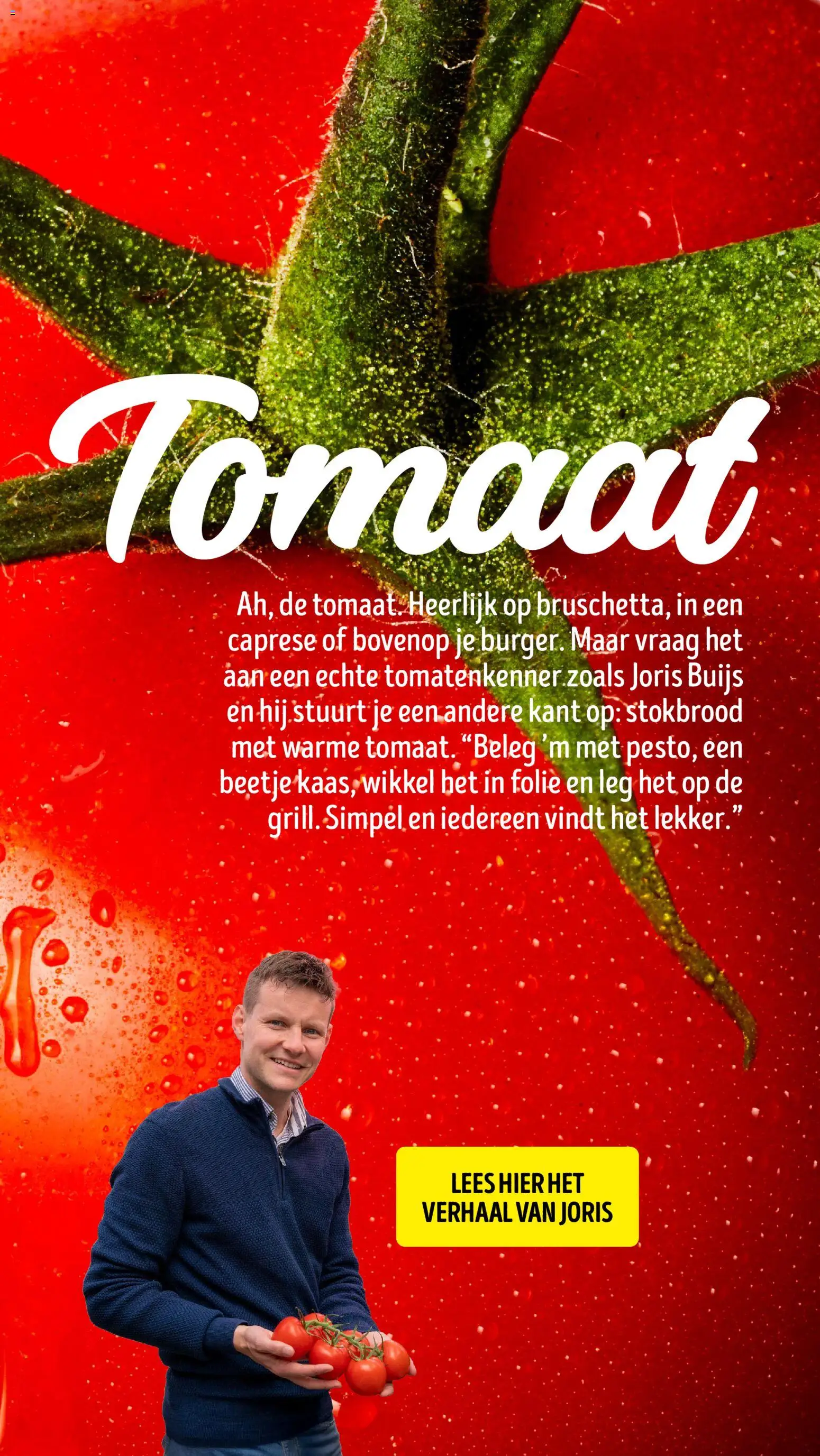 {H1} | Pagina: 19 | Producten: Tomaat, Stokbrood