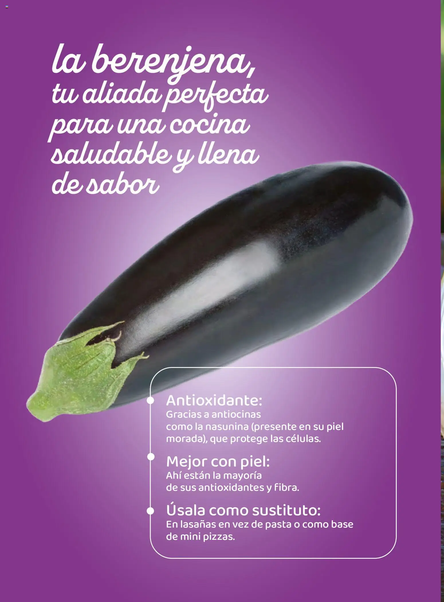 Costco catálogo Otoňo │ válido desde el 14/10/2026 | Página: 110 | Productos: Pasta, Cocina