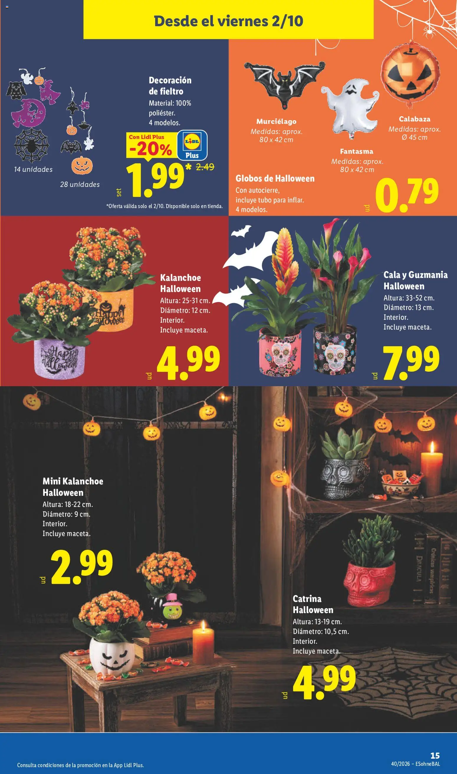 Lidl folleto de bazar │ válido desde el 28/09/2026 | Página: 29 | Productos: Calabaza, Decoración