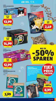 Hofer Flugblatt ab 11.09.2026 gültig | Seite: 37 | Produkte: Fisch
