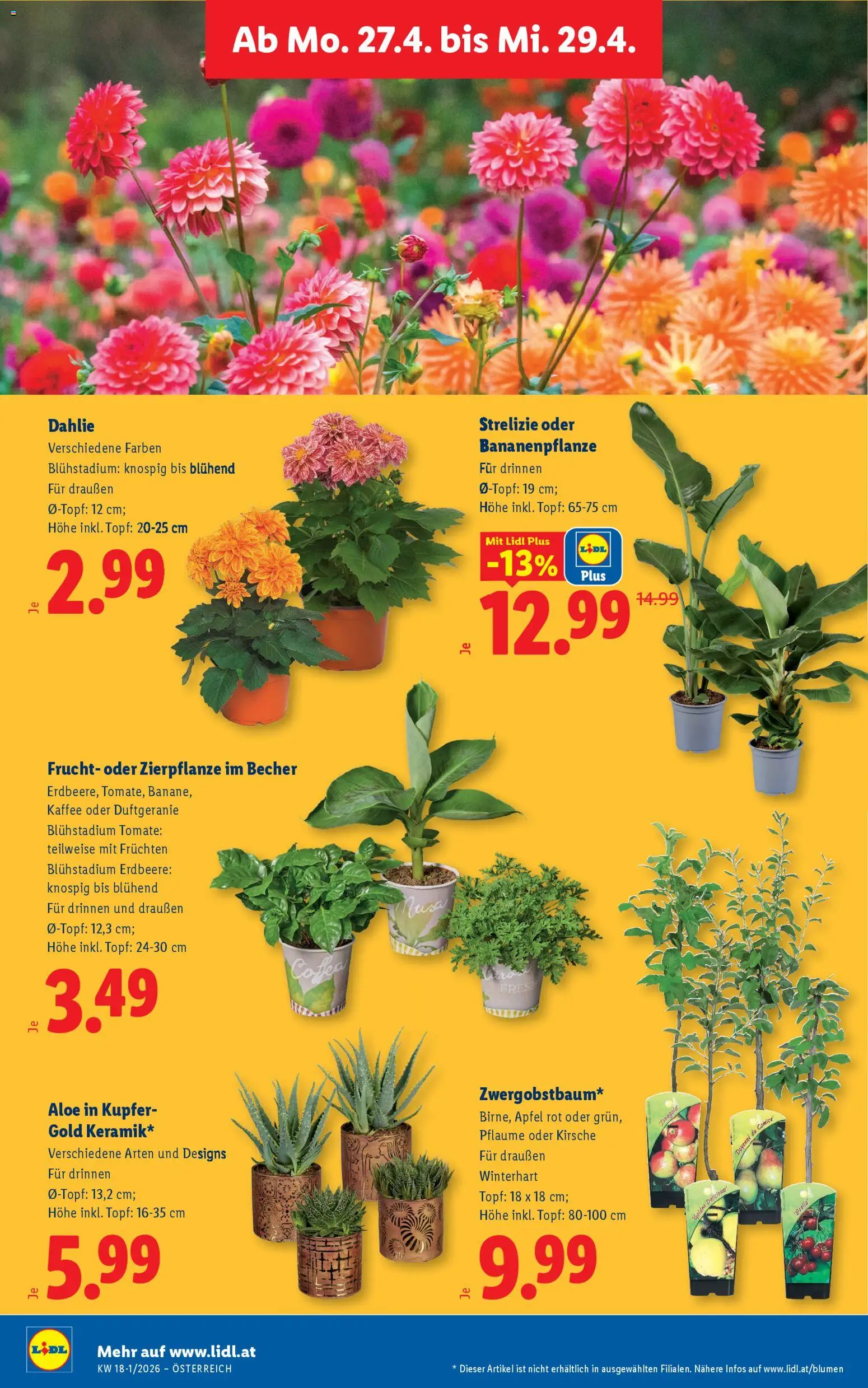 Lidl Flugblatt - Oberpullendorf, Güssing, Oberwart gültig ab 23.04.2026 | Seite: 35 | Produkte: Kaffee, Äpfel