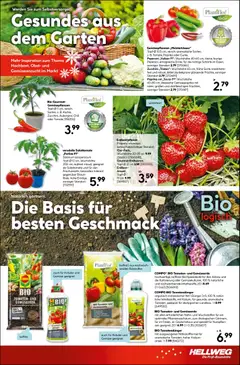HELLWEG Flugblatt ab 13.05.2026 gültig | Seite: 17