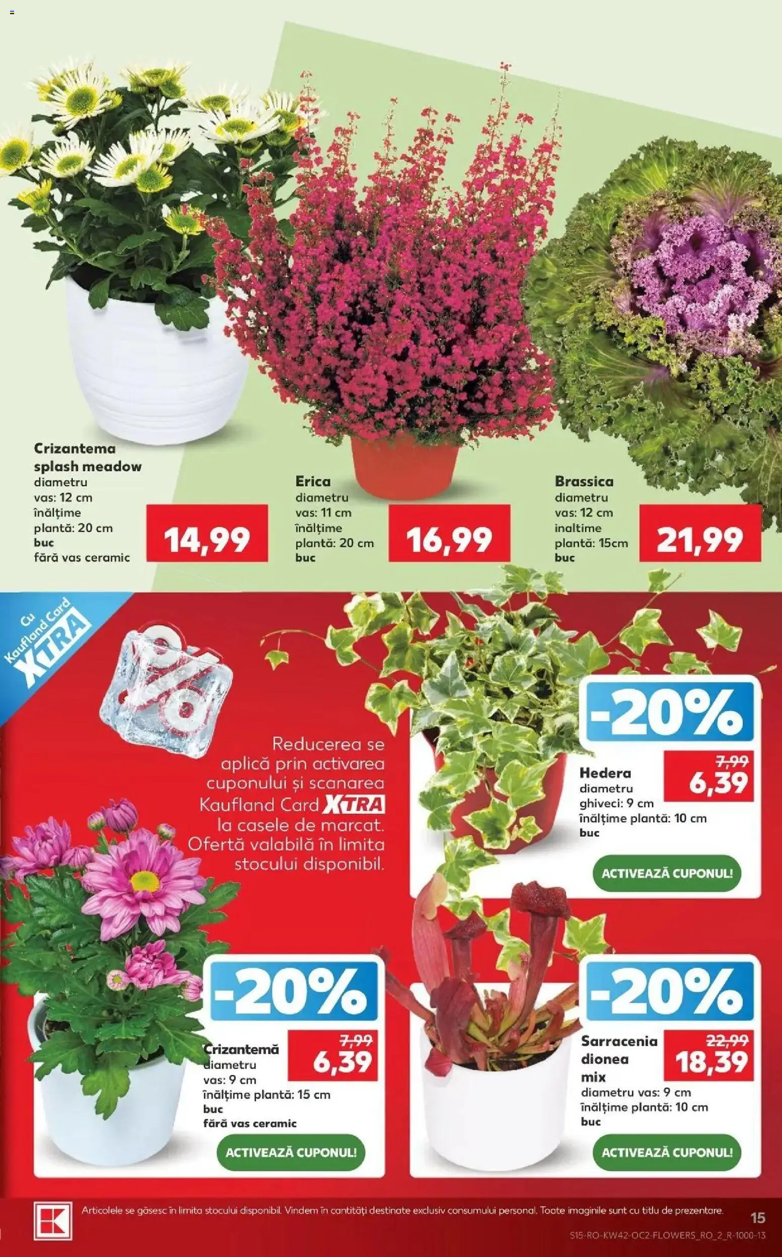 Kaufland Craiova 14.10.2026 - Revista si Oferta | Pagină: 15 | Produse: Aplică, Ghiveci