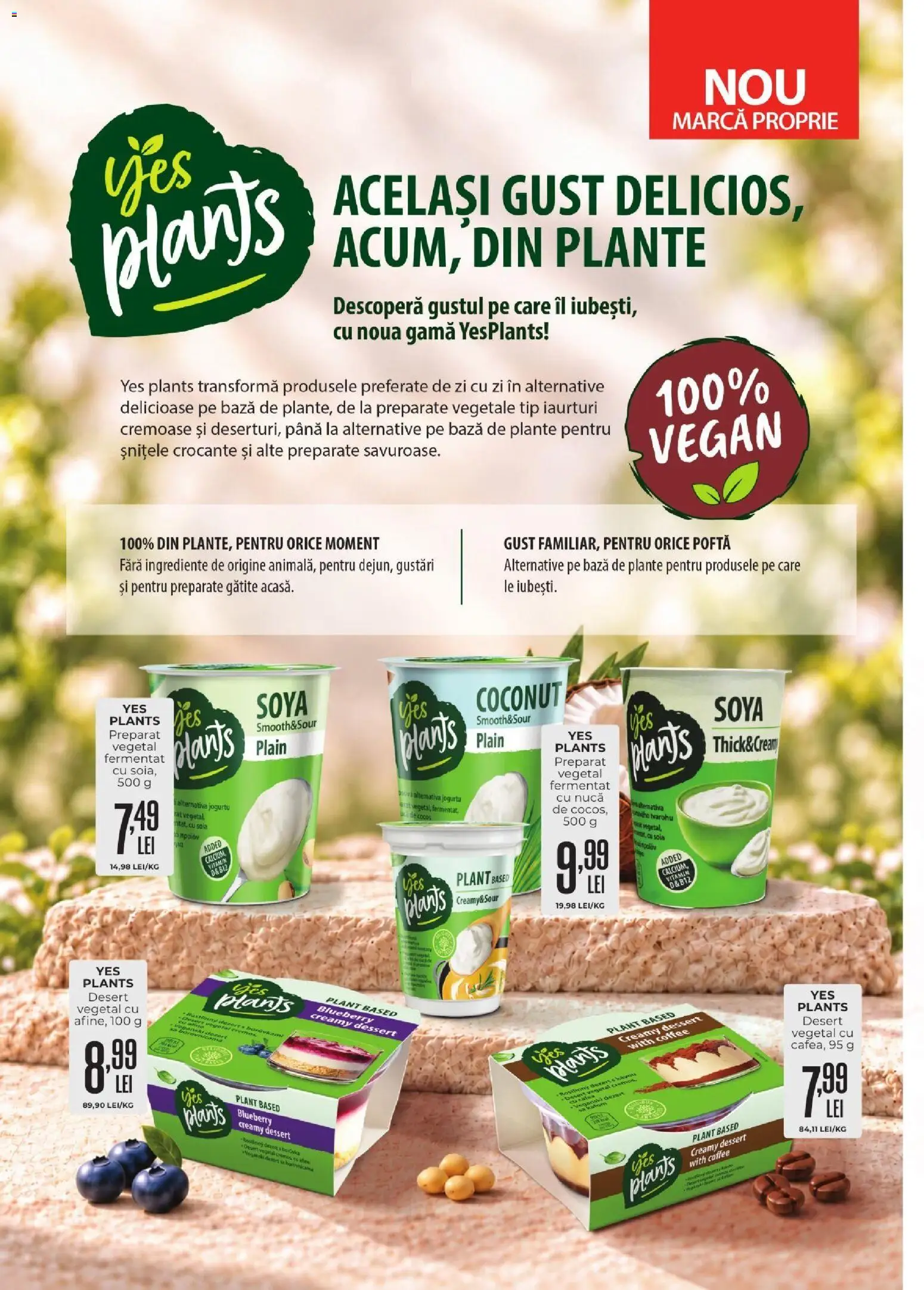 Noul catalog Mega Image – valabil de la 01.10.2026 | Pagină: 26 | Produse: Afine, Tip, Desert