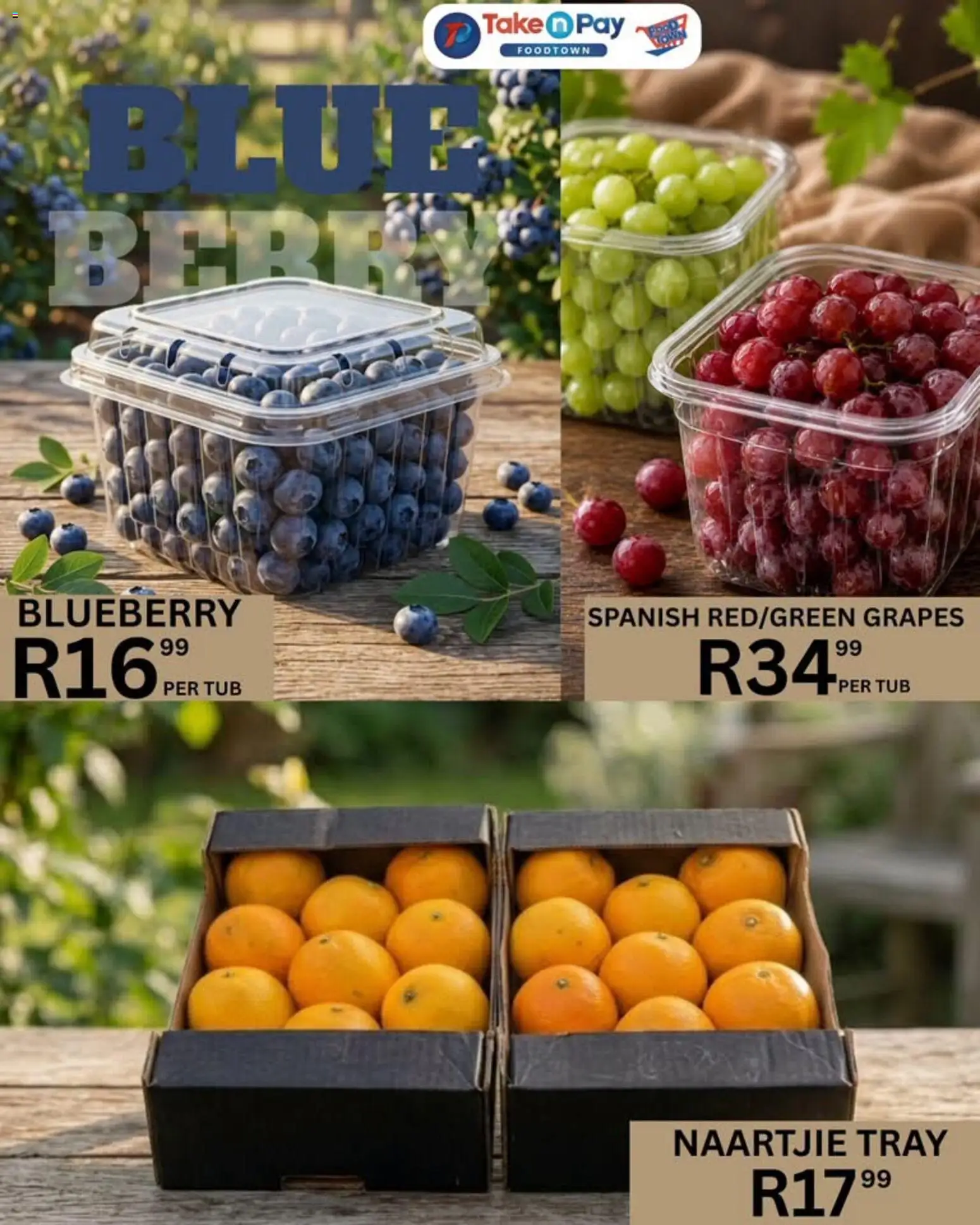 New Take n Pay catalogue – valid from 08/09/2026 | Page: 11