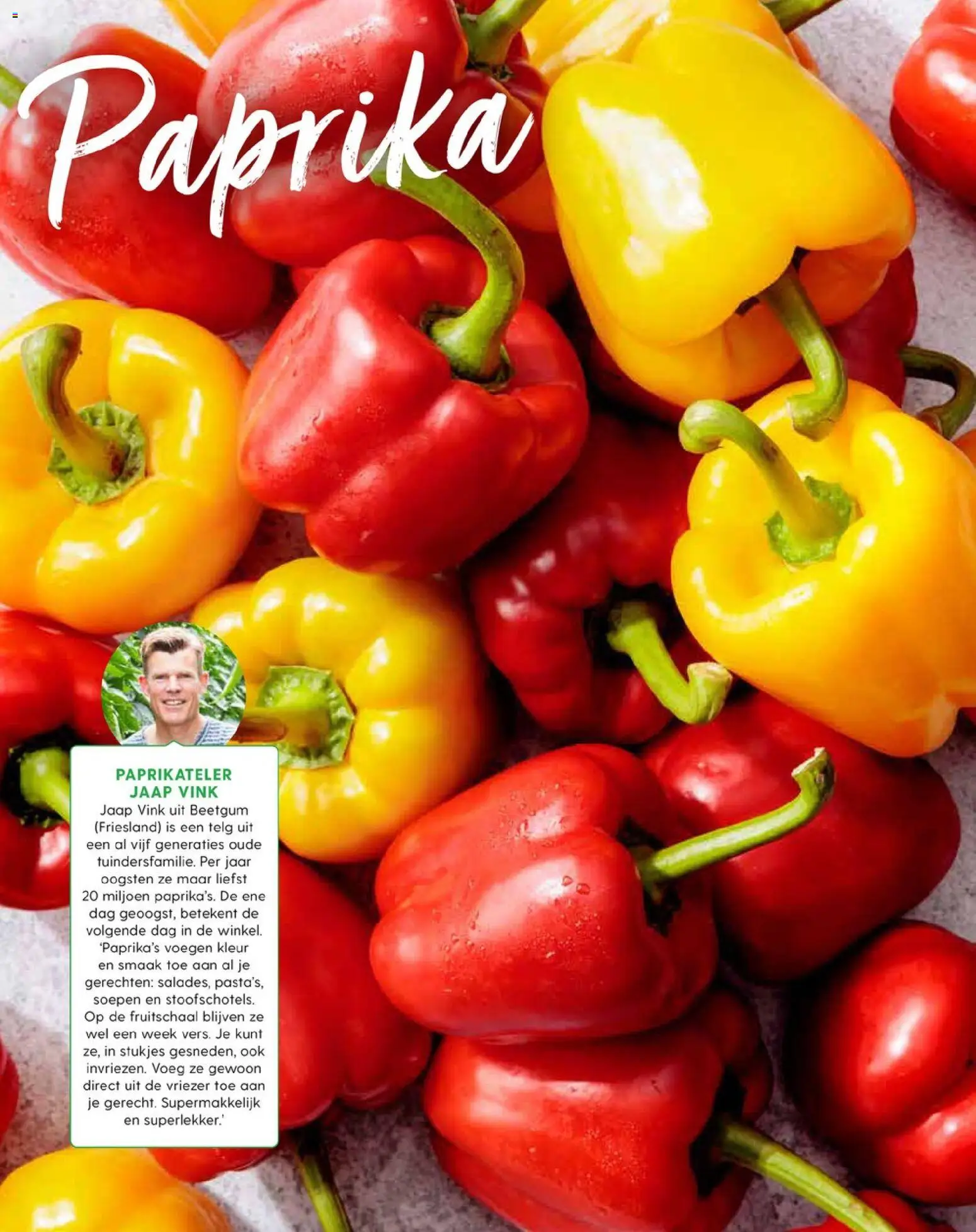 {H1} | Pagina: 70 | Producten: Vriezer, Paprika, Soepen