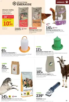 Espace Emeraude - Prévisualisation de Espace Emeraude catalogue valide à partir de 19/08/2026 | Page: 13 | Produits: Sac, Graines, Mais, Aliments
