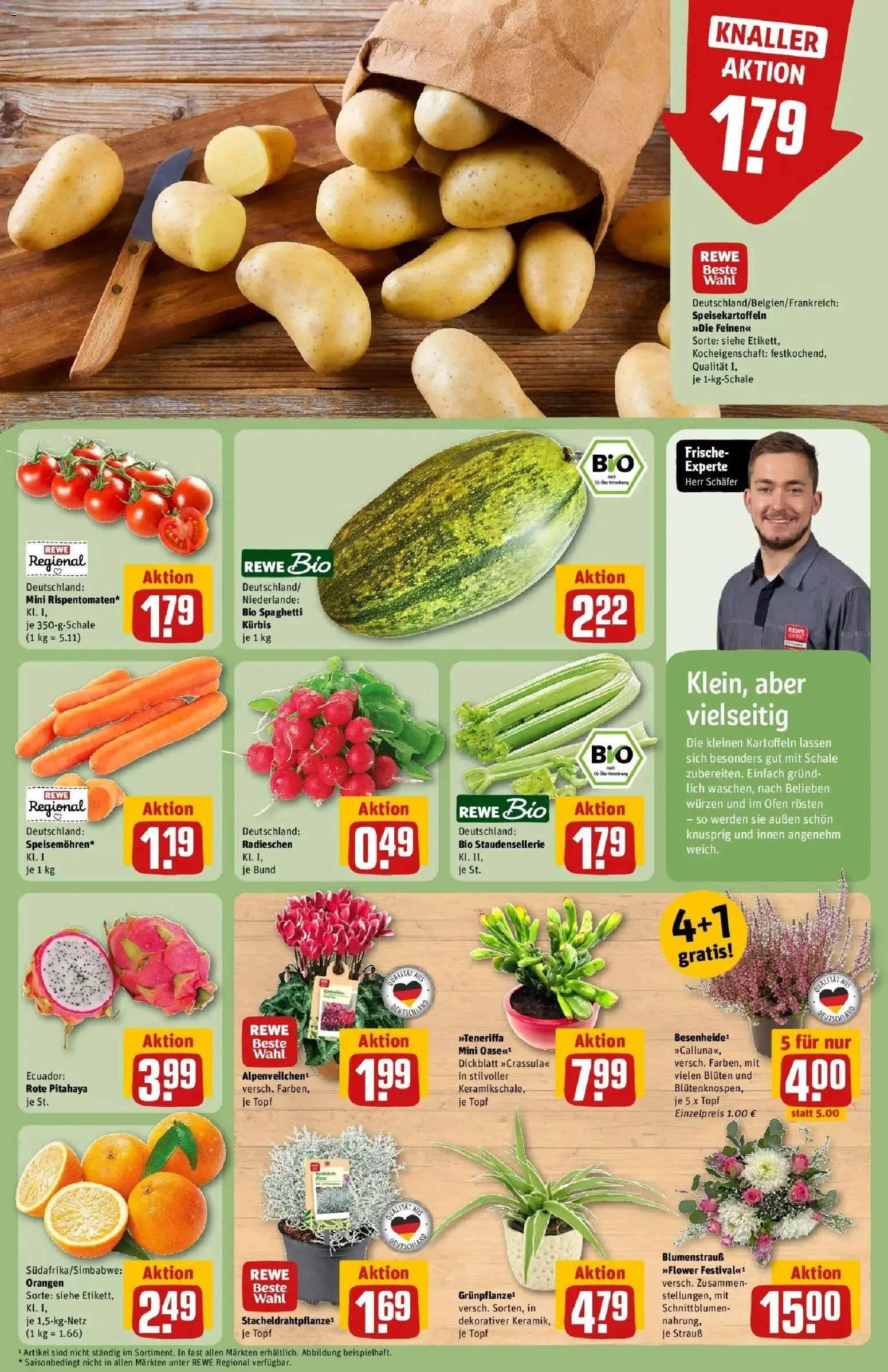 REWE Prospekt ab 05.10.2026 zum Blättern » Angebote | Seite: 9 | Produkte: Ofen, Spaghetti, Orangen, Kürbis