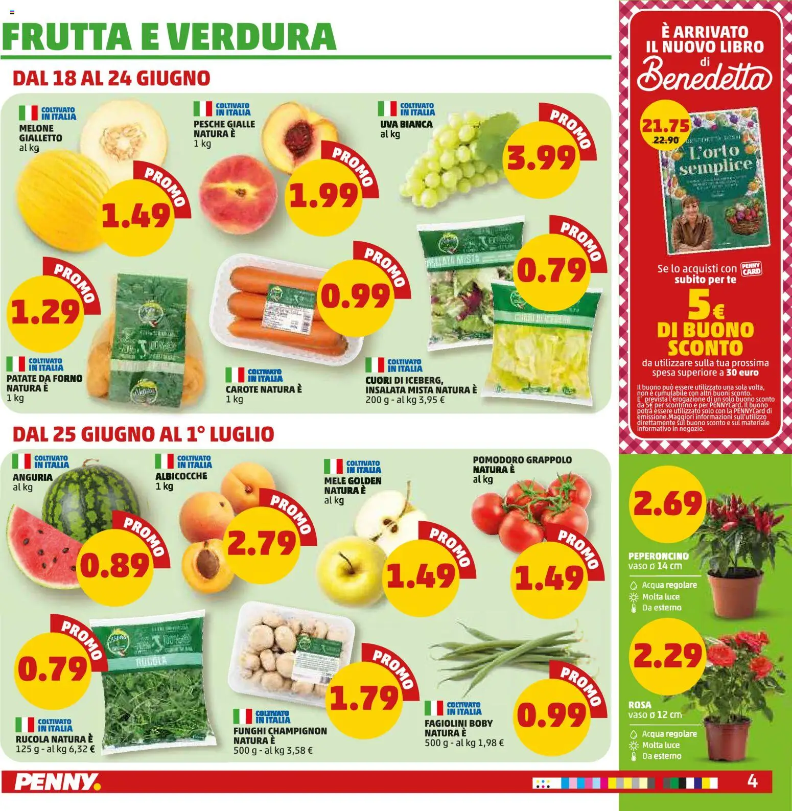 Volantino PENNY del 18.06.2026 | Pagina: 4 | Prodotti: Frutta, Funghi, Uva, Fagiolini
