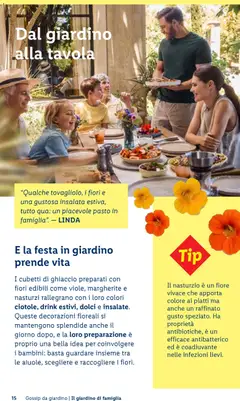 Anteprima del volantino Lidl volantino Giardinaggio valido a partire dal 23.04.2026 | Pagina: 15 | Prodotti: Insalata, Decorazioni