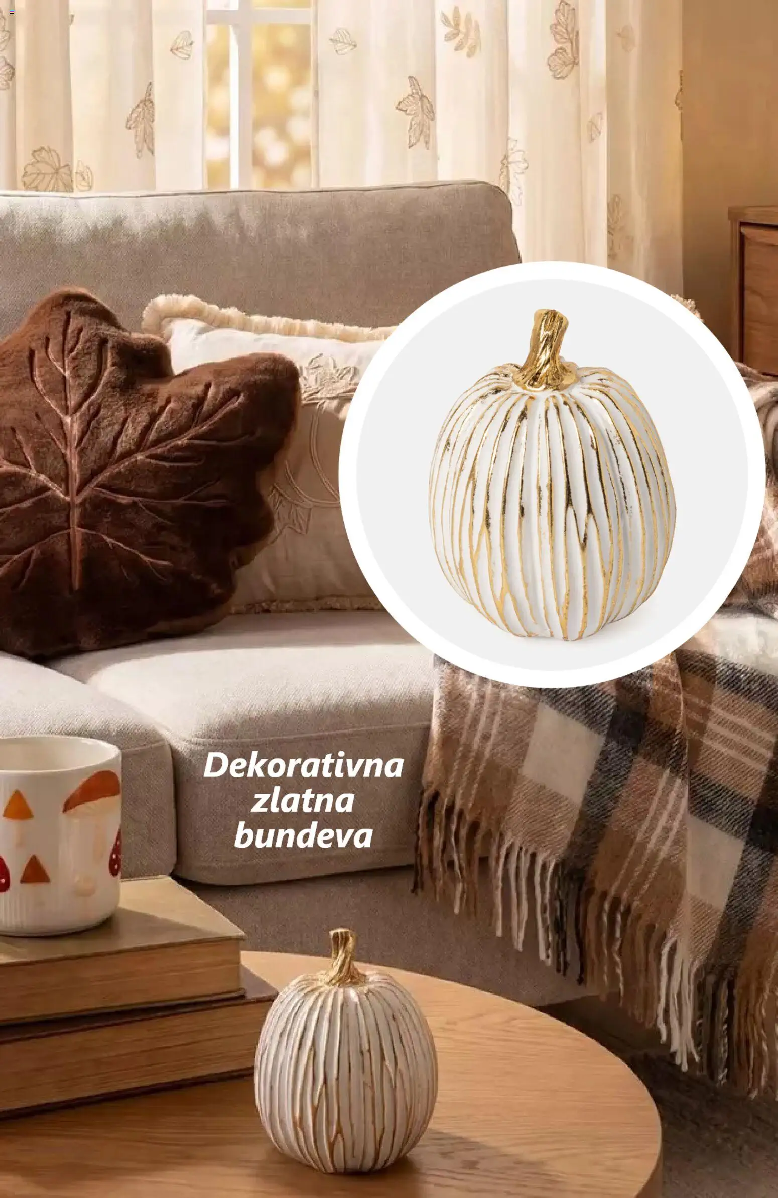 Pepco katalog | vrijedi od 31.07.2026 | Stranica: 6