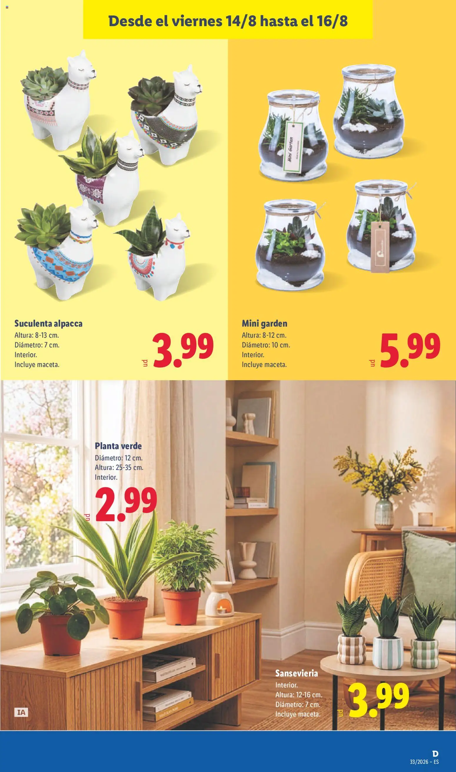 Lidl folleto │ válido desde el 10/08/2026 | Página: 57