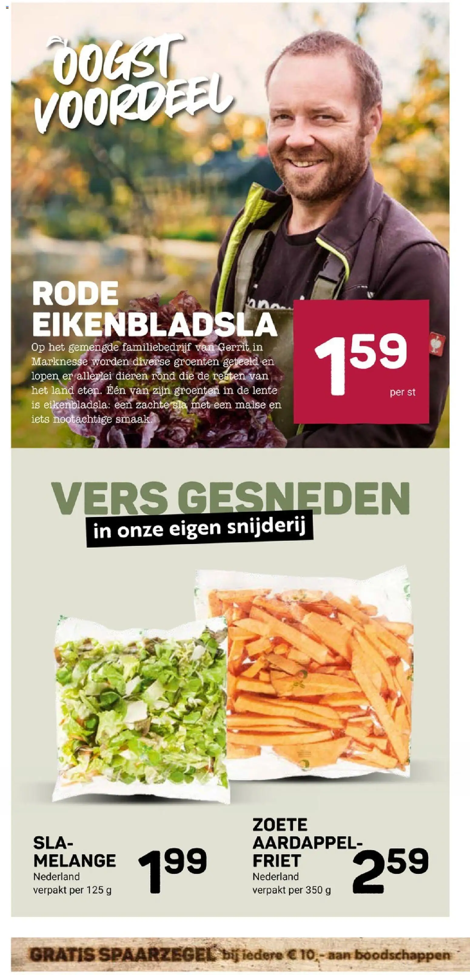 {H1} | Pagina: 10 | Producten: Aardappel, Sla, Friet, Groenten