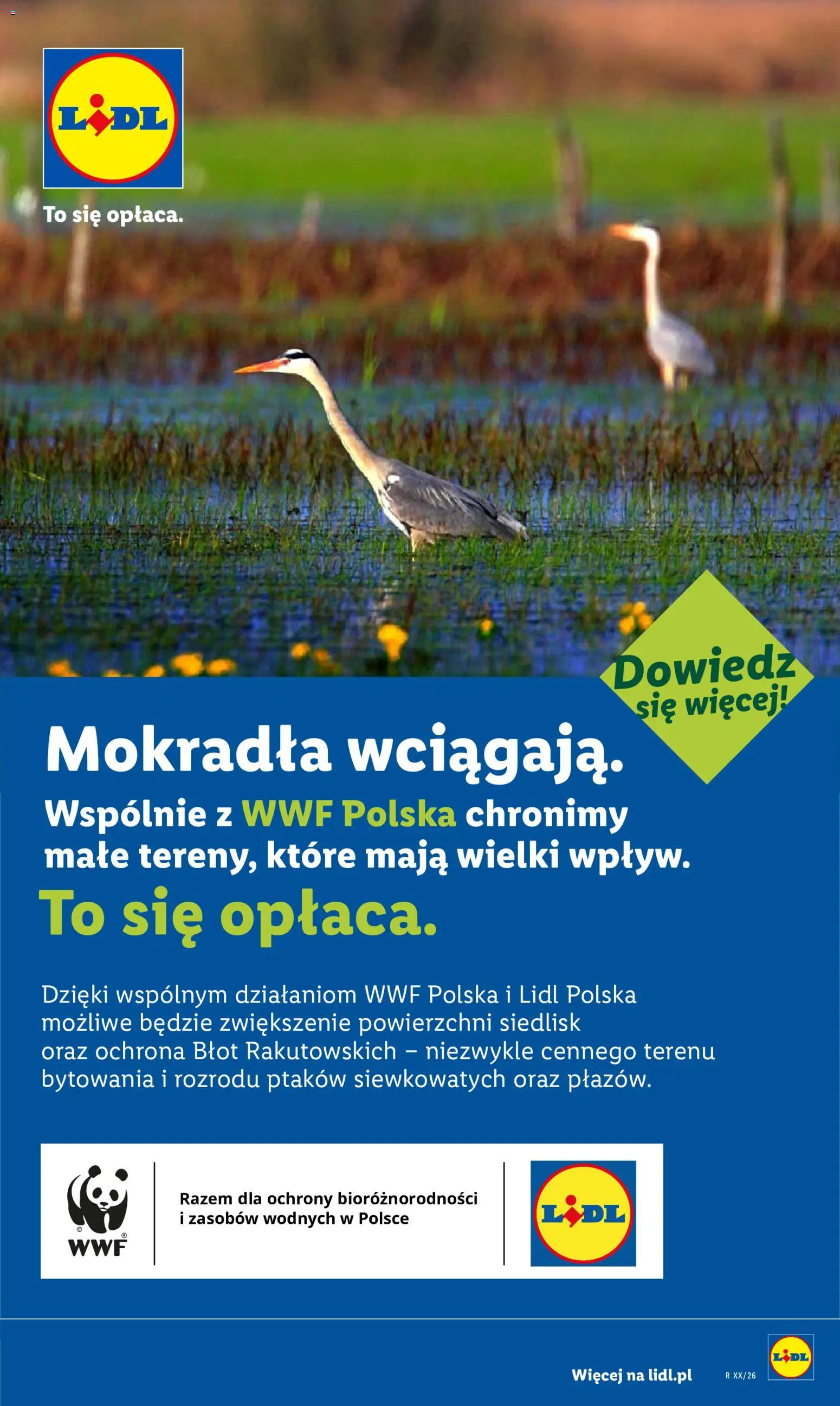 Lidl Polsko leták od 29.06.2026 | Strana: 84