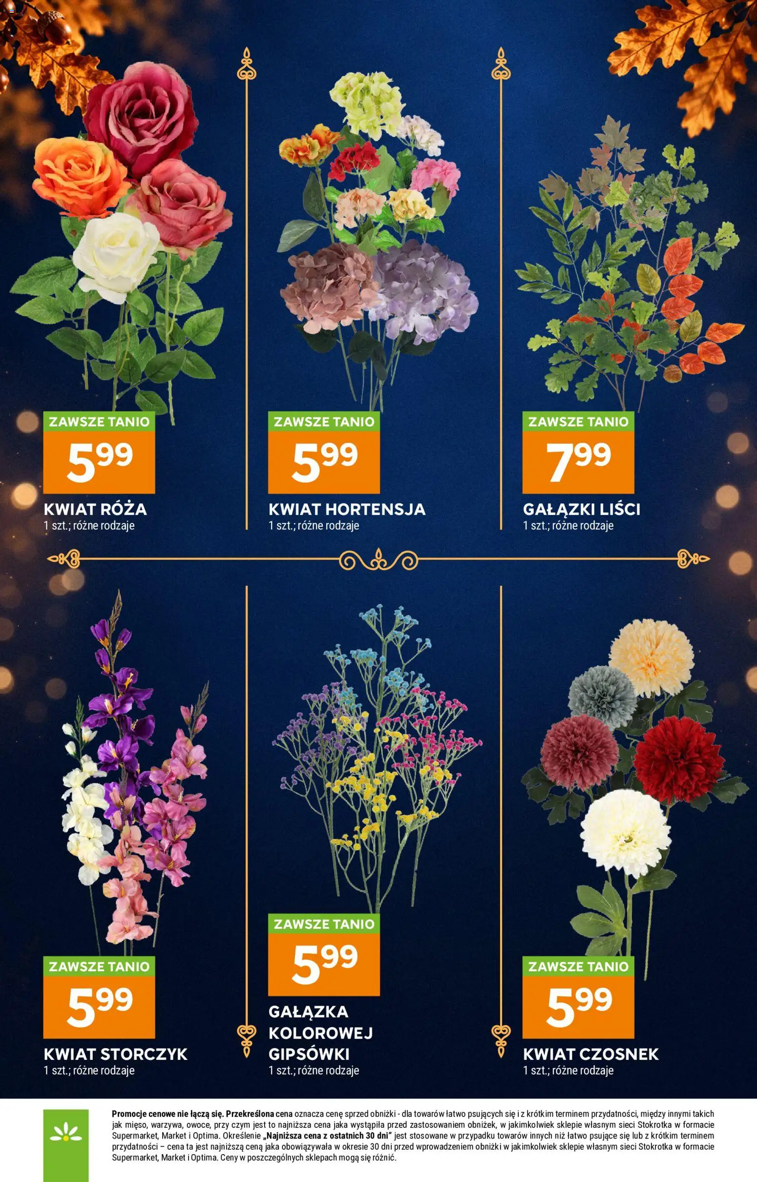 Stokrotka gazetka - Katalog Znicze od 01.10.2026 | Strona: 13 | Produkty: Czosnek, Stokrotka, Storczyk, Hortensja