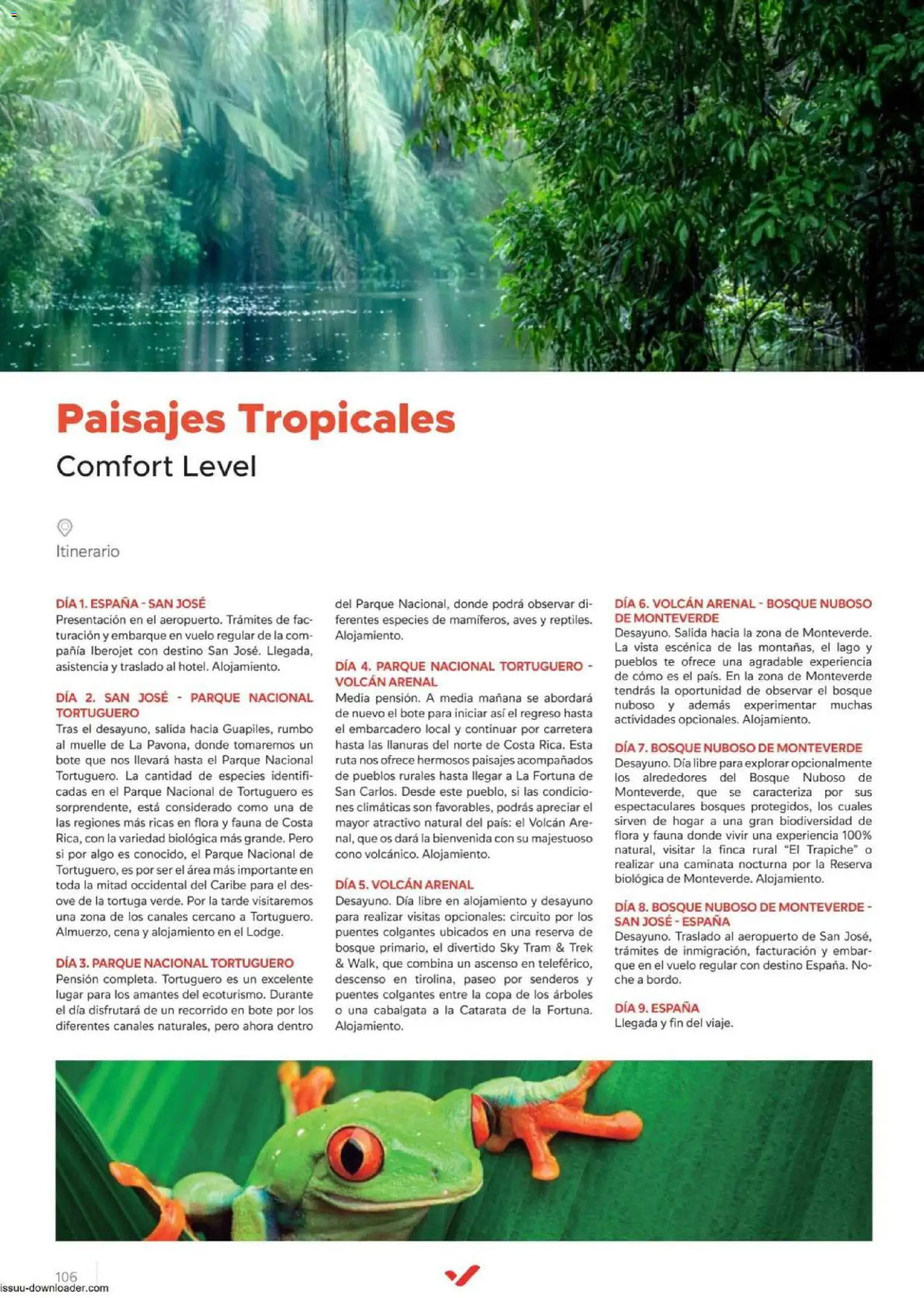 Halcón Viajes Comfort level 2026 │ válido desde el 04.06.2026 | Página: 106 | Productos: Té