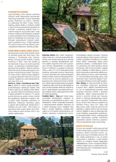 COOP Jednota leták platný od 01.07.2026 | Strana: 29
