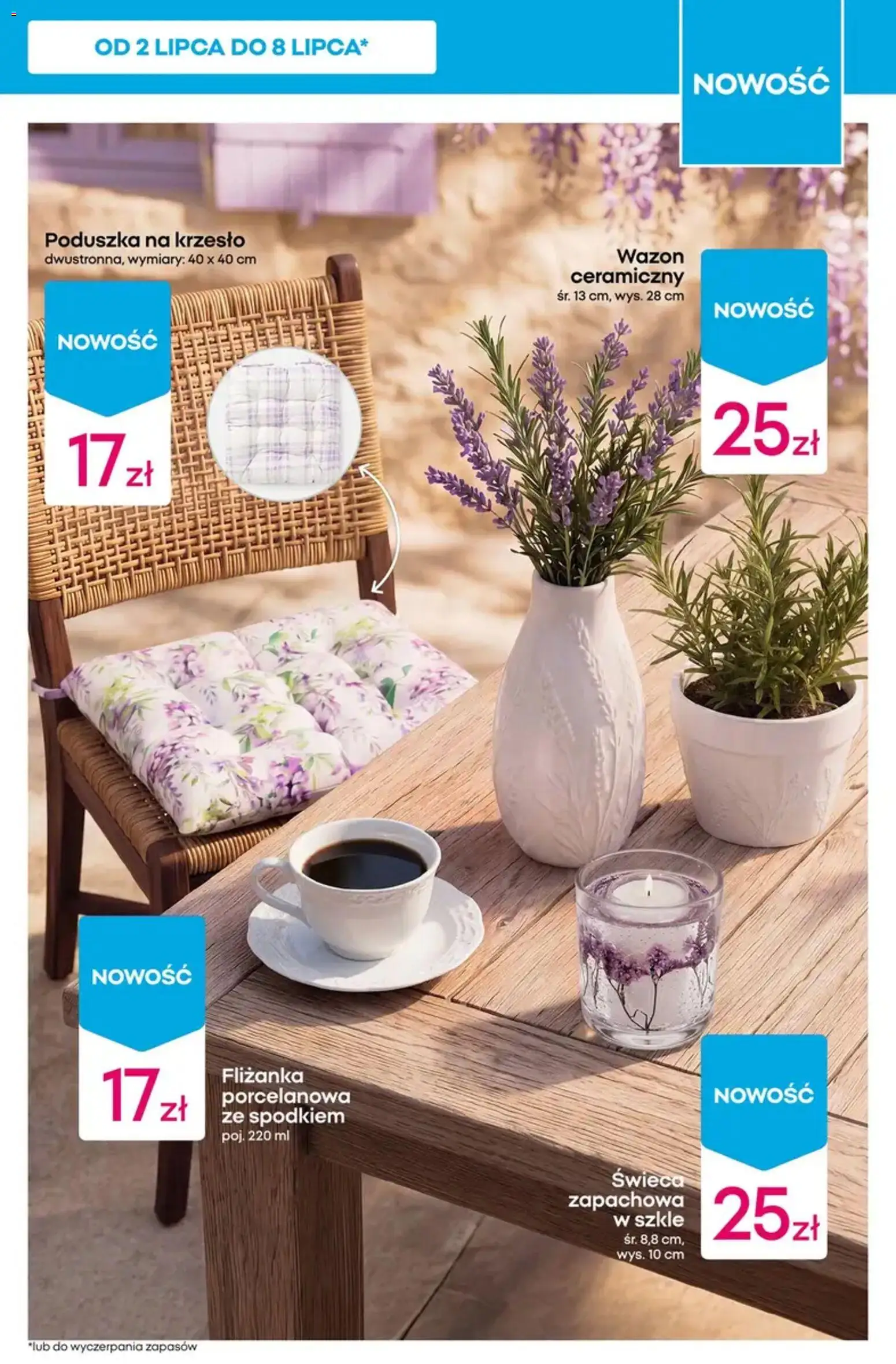 Pepco gazetka od 25.06.2026 | Strona: 9 | Produkty: Poduszka, Krzesło, Wazon