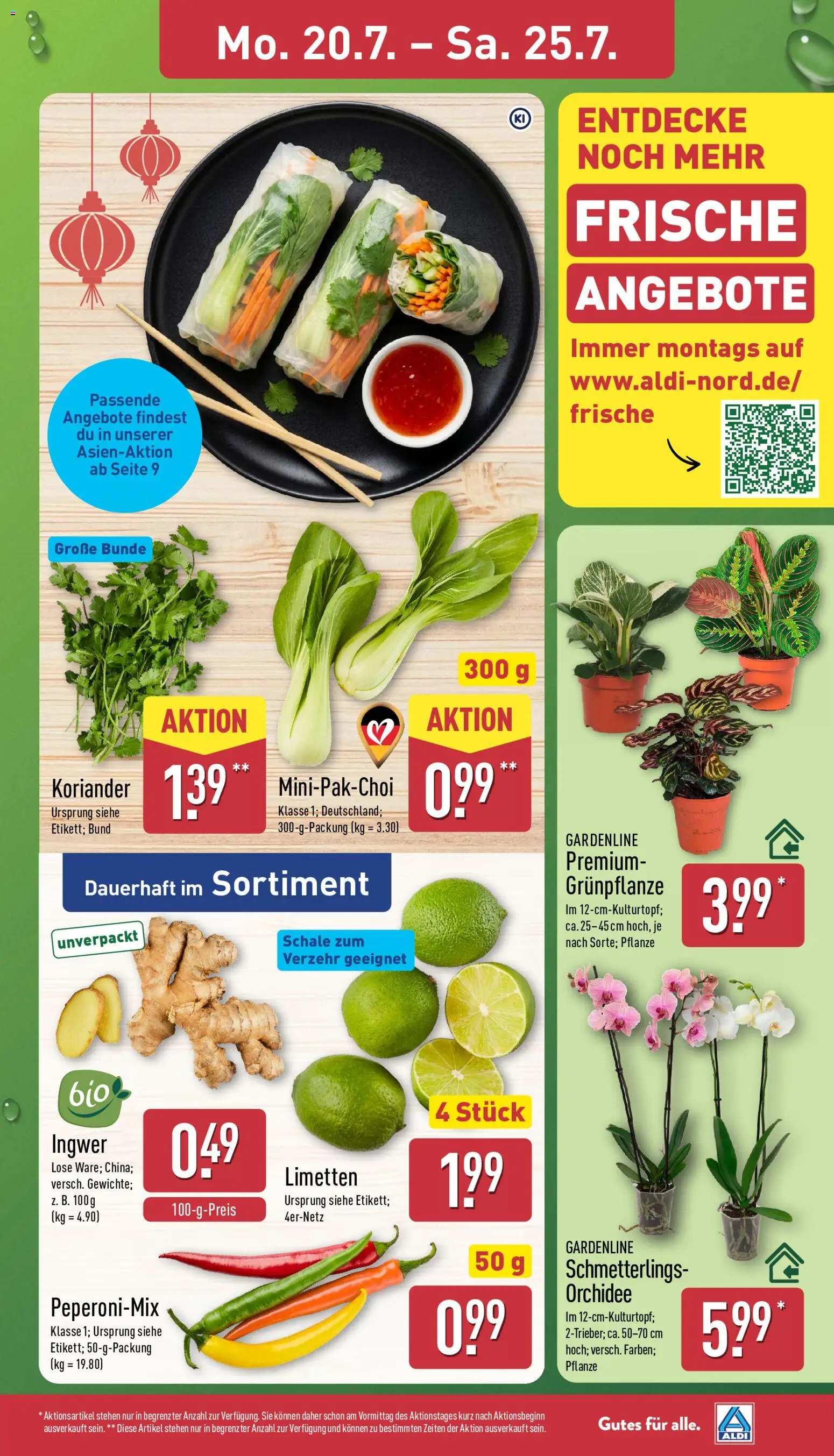 Aldi Prospekt – gültig ab 20.07.2026 | Seite: 3