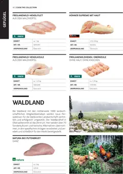 Transgourmet Cook Look-Book ab 08.04.2026 gültig | Seite: 40