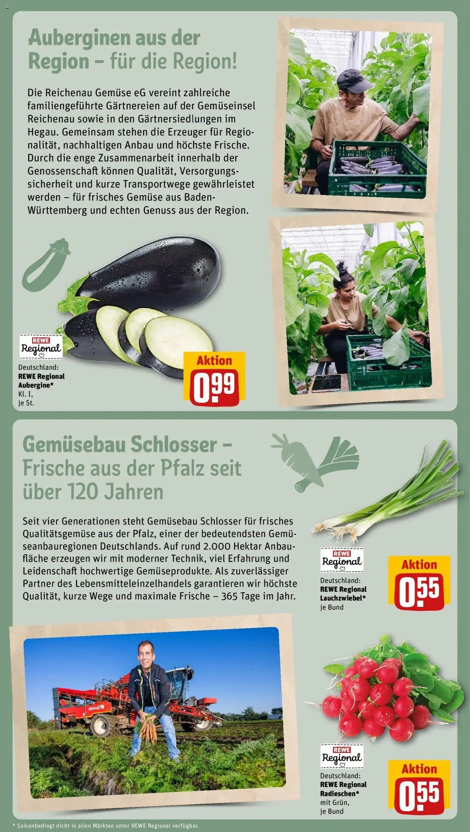 REWE Prospekt ab 17.08.2026 zum Blättern » Angebote | Seite: 11 | Produkte: Gemüse