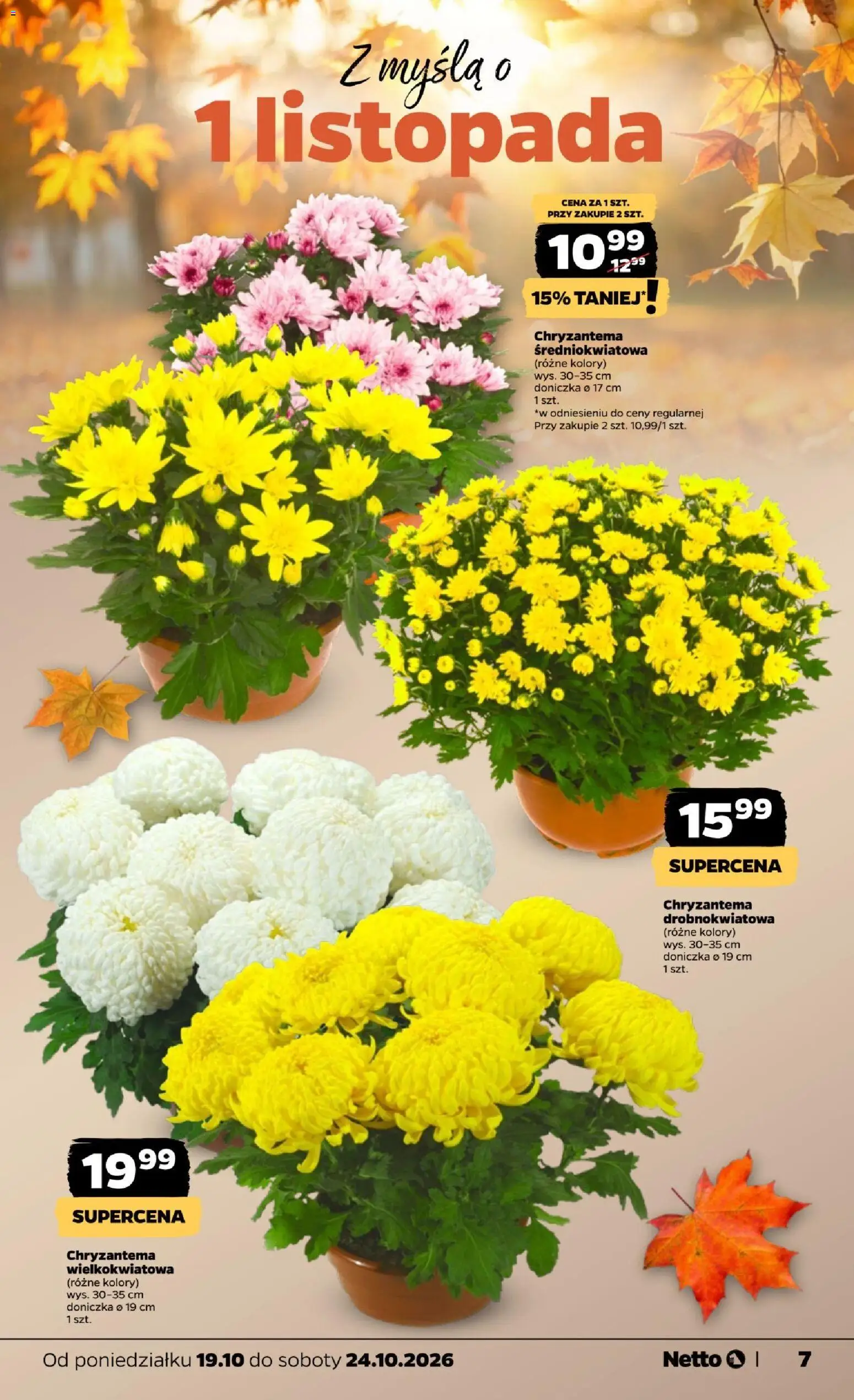 Netto gazetka od poniedziałku od 19.10.2026 | Strona: 7 | Produkty: Doniczka