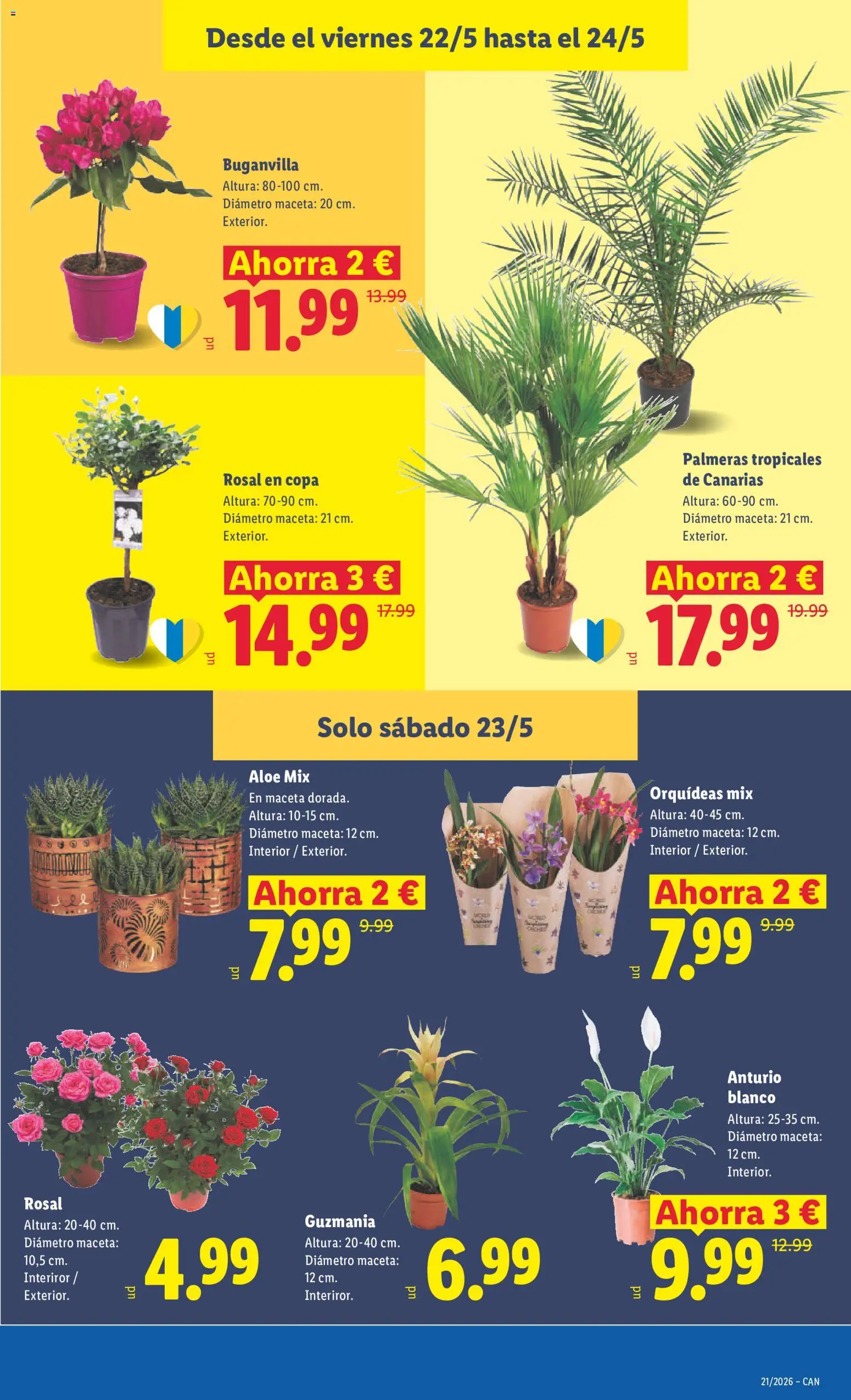 Lidl folleto │ válido desde el 18.05.2026 | Página: 45 | Productos: Palmeras, Maceta