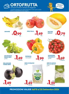 Anteprima del volantino MD Discount volantino valido a partire dal 08/09/2026 | Pagina: 8