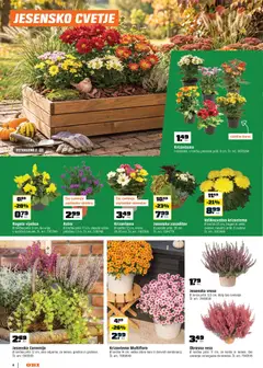 OBI katalog akcije – veljaven od 01.10.2026 | Stran: 4 | Izdelki: Cvetje