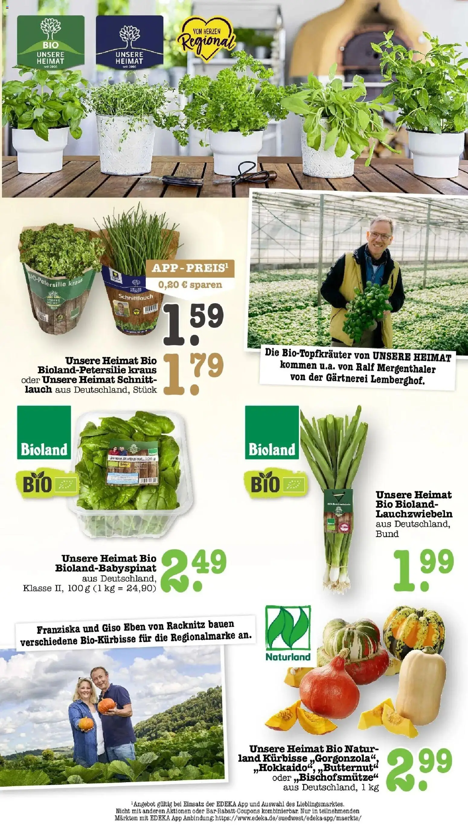 Edeka Prospekt Offenbach (ab 21.09.2026) » Angebote Online | Seite: 25 | Produkte: Lauch