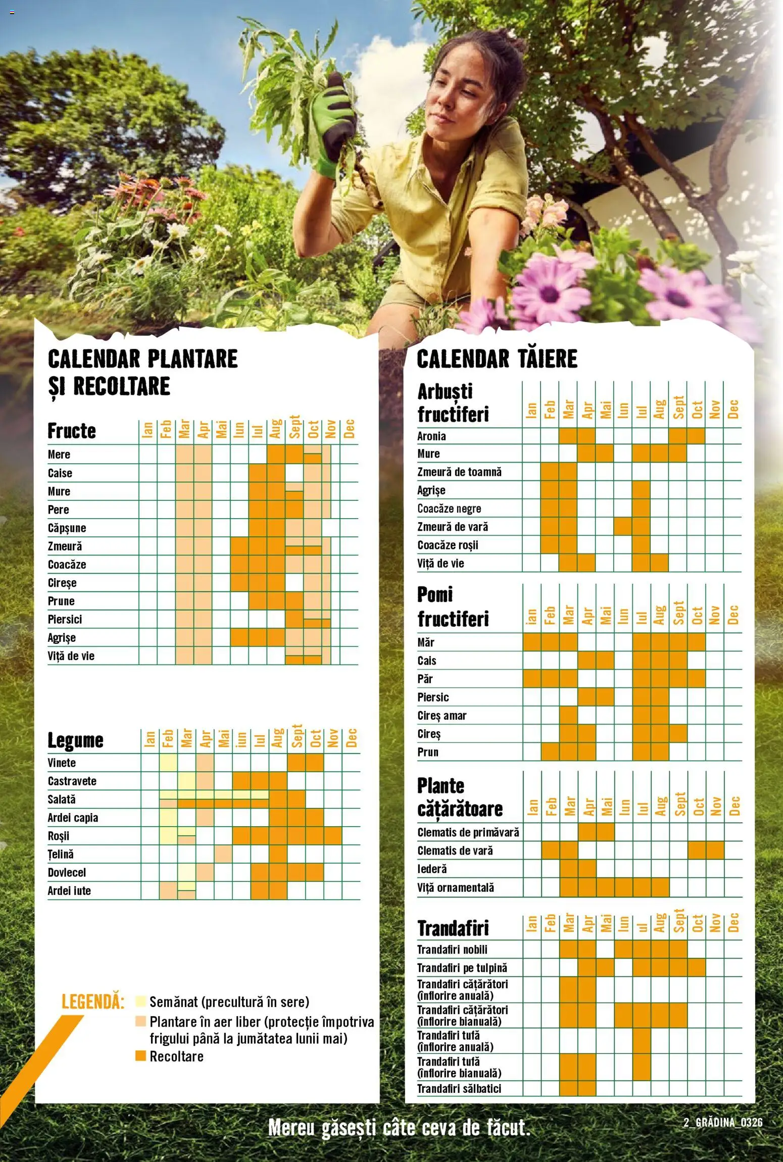 Noul catalog Hornbach – valabil de la 23.03.2026 | Pagină: 2 | Produse: Roșii, Prune, Legume, Fructe