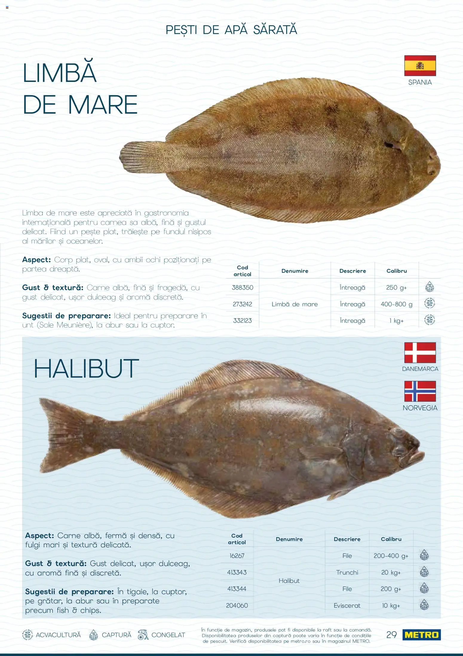 Noul catalog Metro – valabil de la 01.10.2026 | Pagină: 29 | Produse: Ochi, Fulgi, Trunchi, Apă