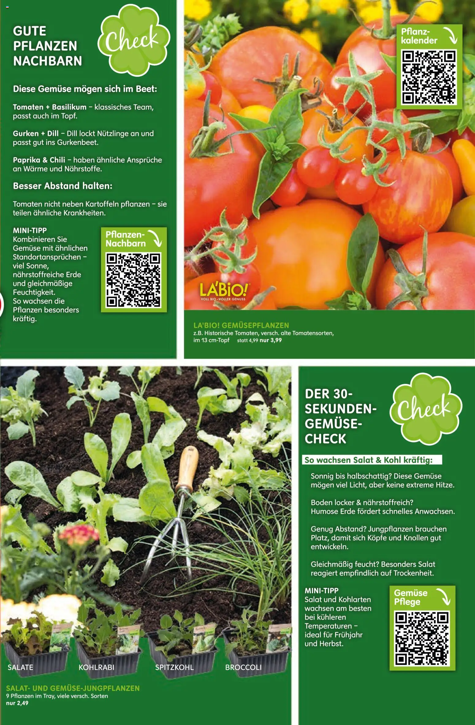 Blumen Risse Prospekt Blumenmarkt – gültig ab 28.05.2026 | Seite: 3 | Produkte: Kohlrabi, Kartoffeln, Gemüse, Salat